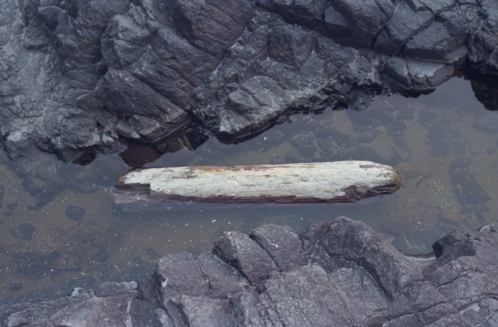 Miscellaneous Photographs