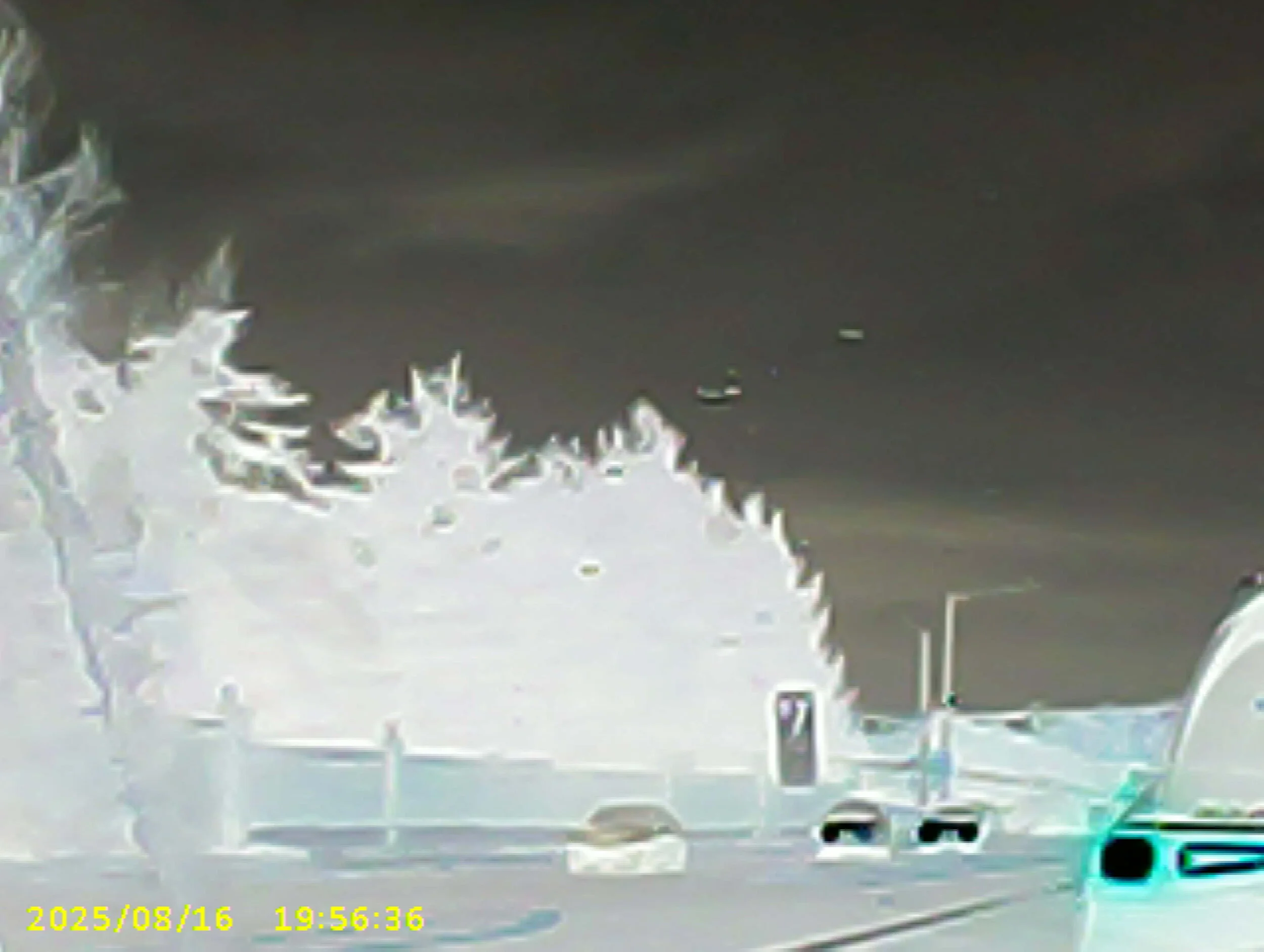 Untitled. Toy camera photographs. EDPX 3/4700 Bad Taste & Digital Aesthetics. Assignment: Poor Images.