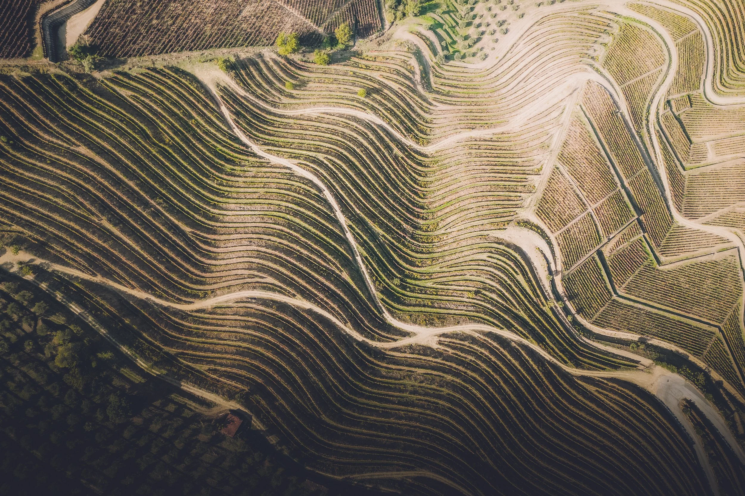 Portugal_Douro-20_HD.jpg