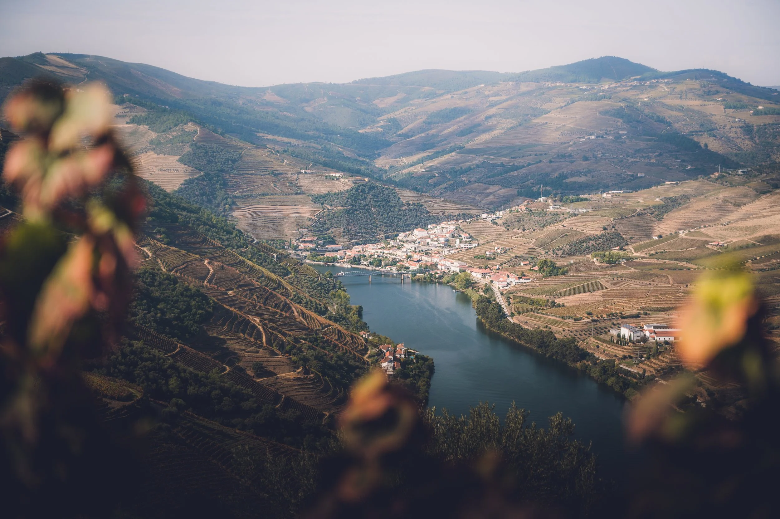 Portugal_Douro-15_HD.jpg