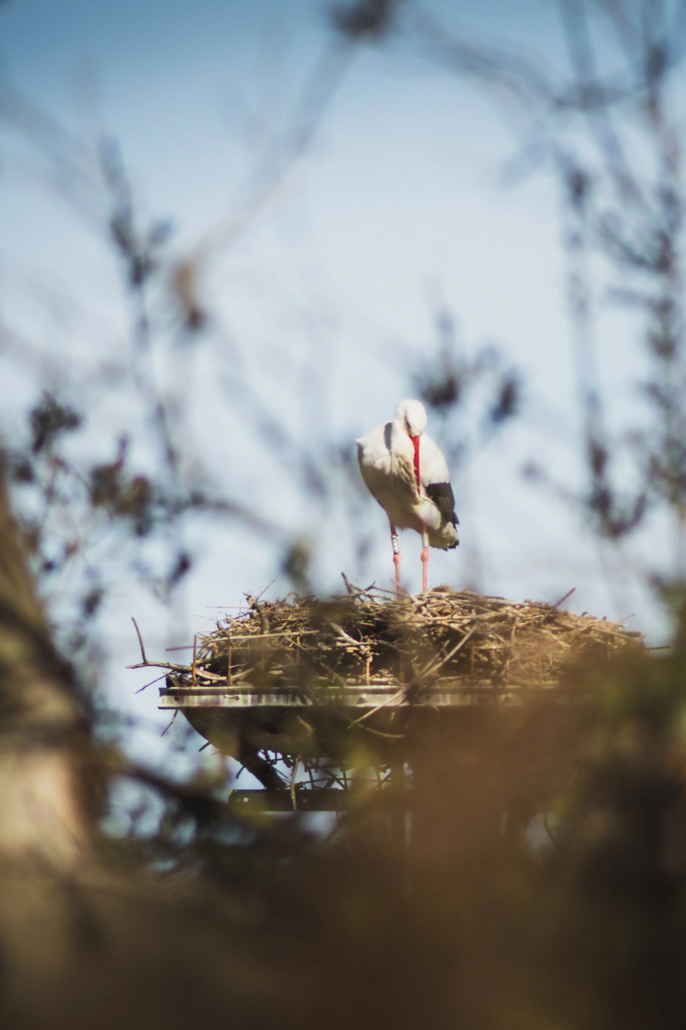 06022022_Balade_Maison_de_la_Nature-8_export-HD.jpg