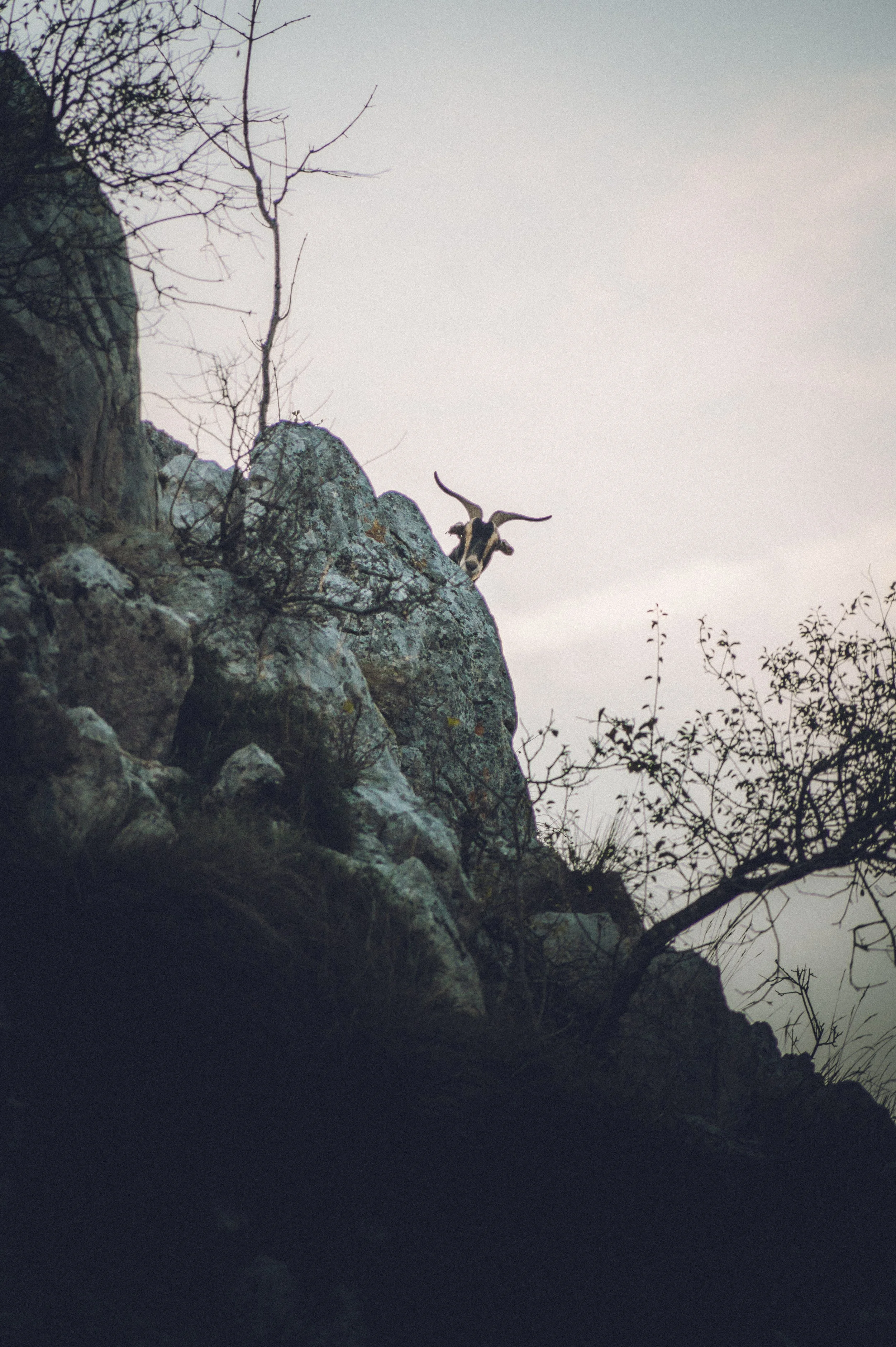 Espagne_Los_Picos_Sotres-16_HD.jpg