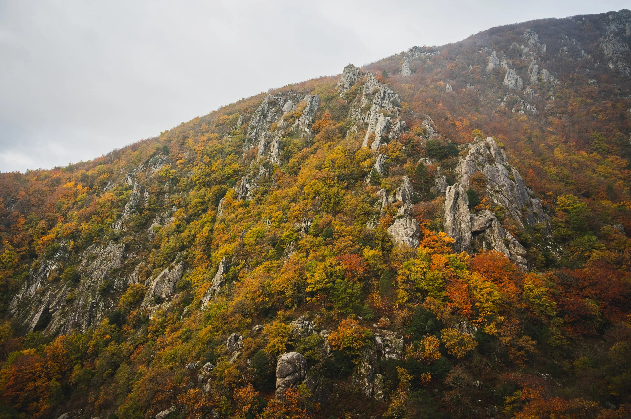 14112021_Sentier_des_Milles_Marches_2-35_export-HD.jpg
