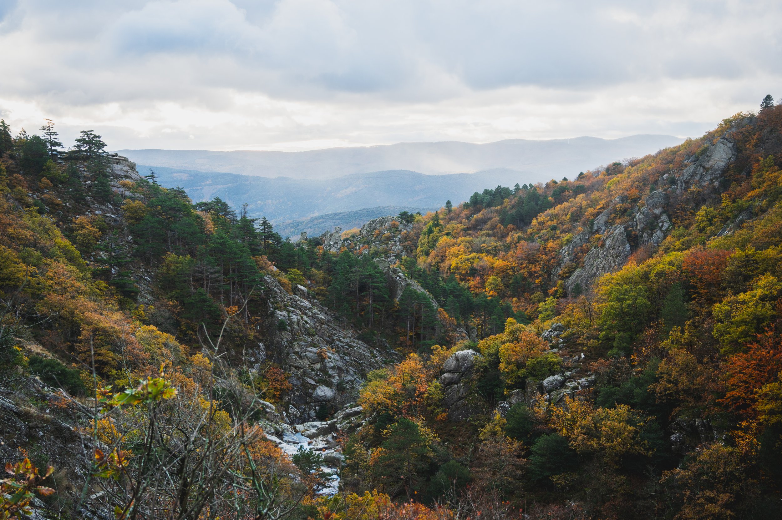 14112021_Sentier_des_Milles_Marches_2-46_export-HD.jpg