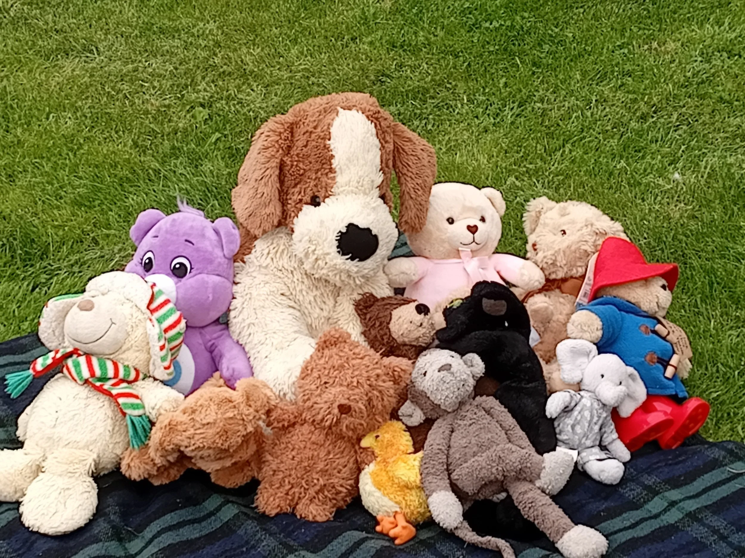 How to organise a teddy bears picnic for 150th anniversary