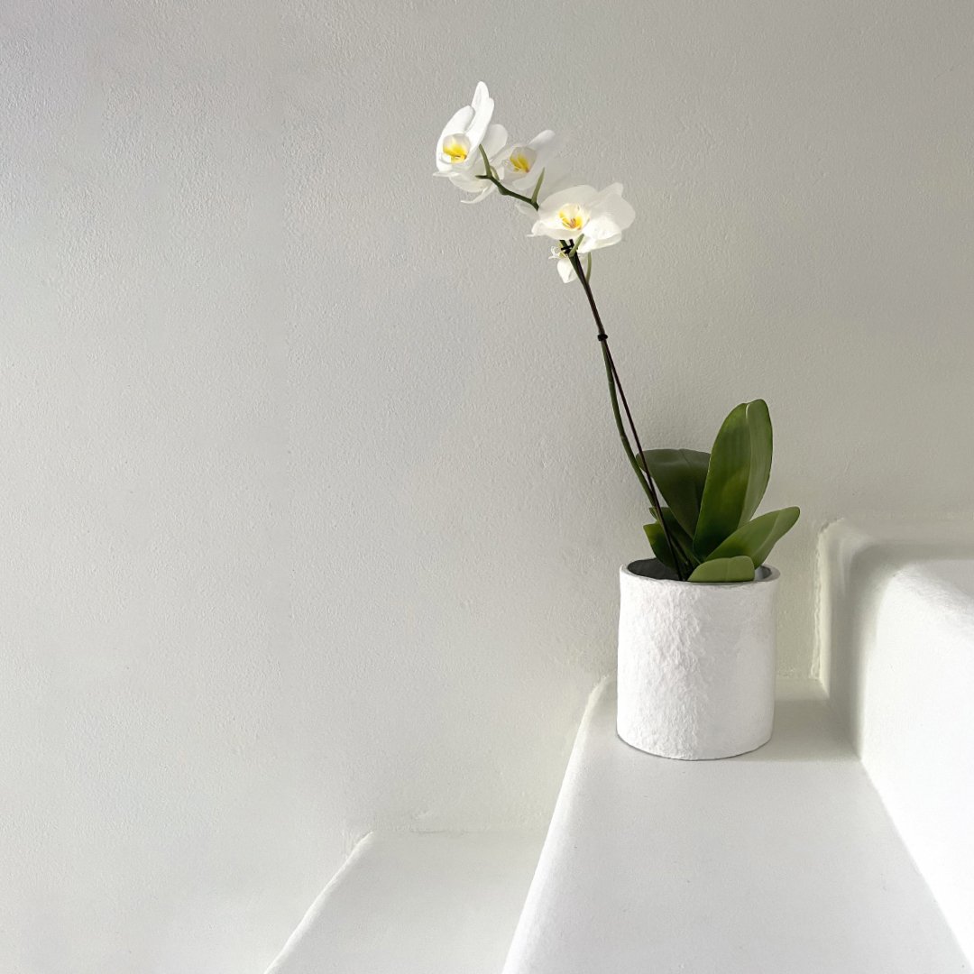 Our Cotton Stone&trade; collection is expanding. And if sustainability is important to you, we could be friends.

Introducing our range of Planter Pots. Perfect for your potted orchids, herbs or whatever you fancy. Just like our vase range, these new