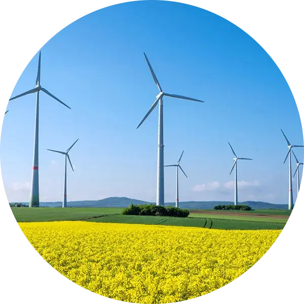 Renewable Energy and Hydrogen Project Developers