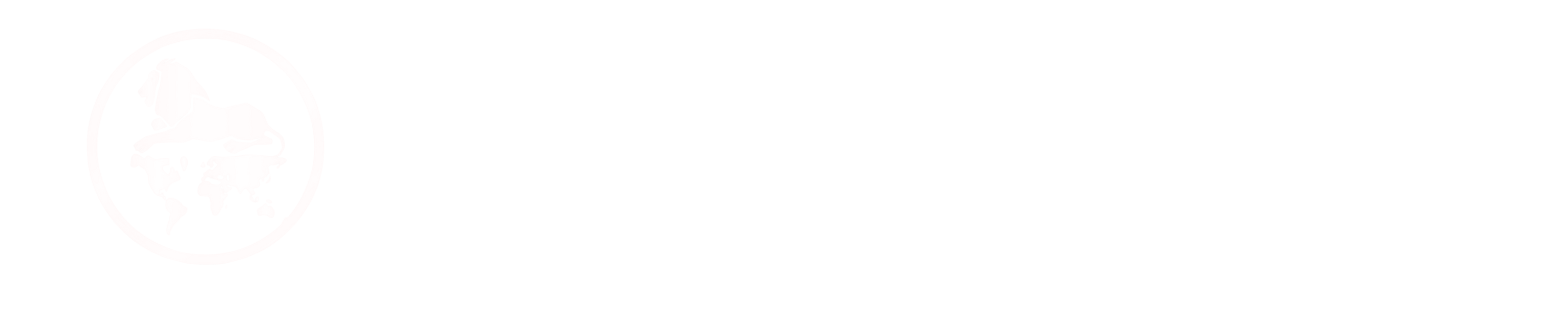 Rally Business Consulting Logo