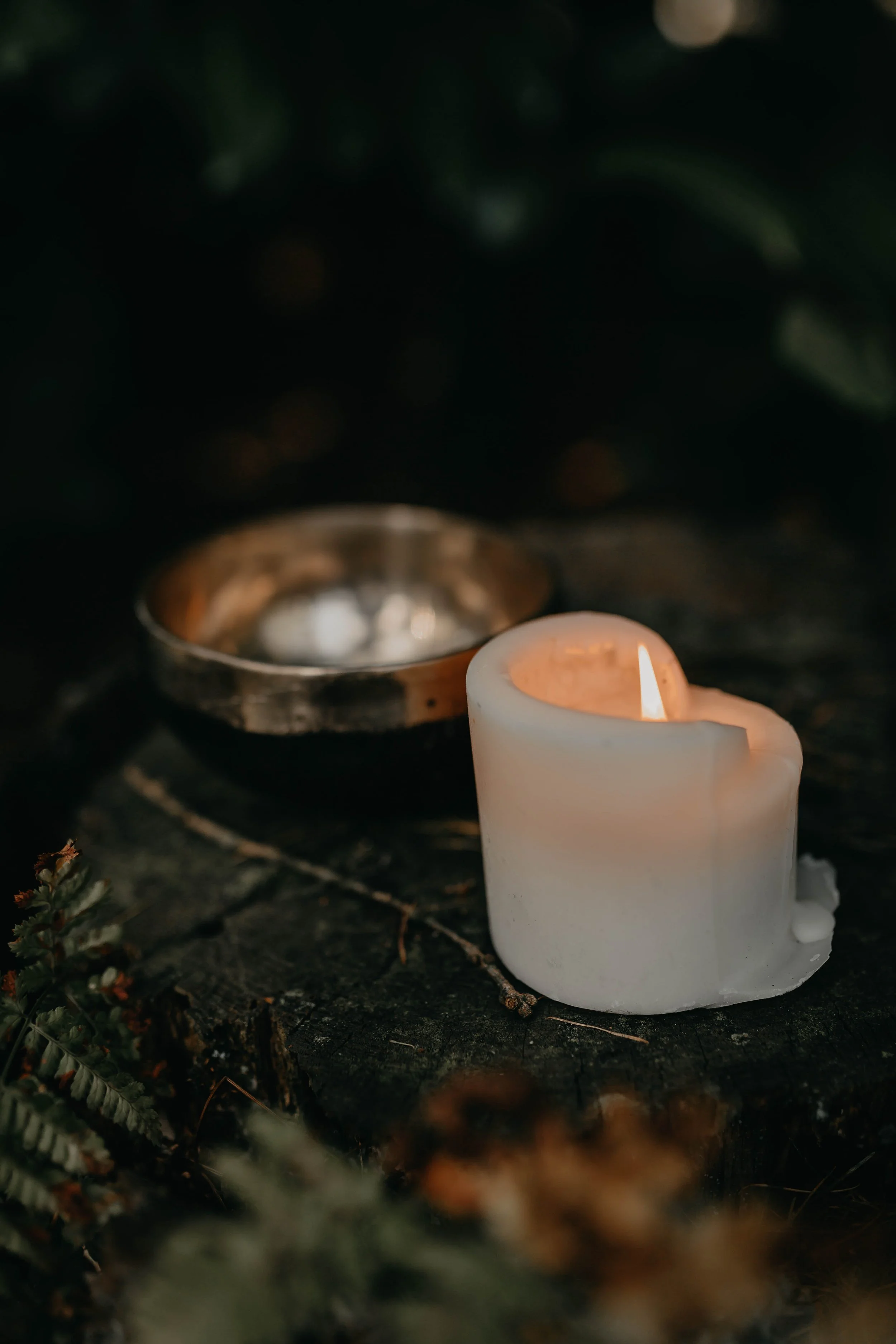 Ancestors Meditation