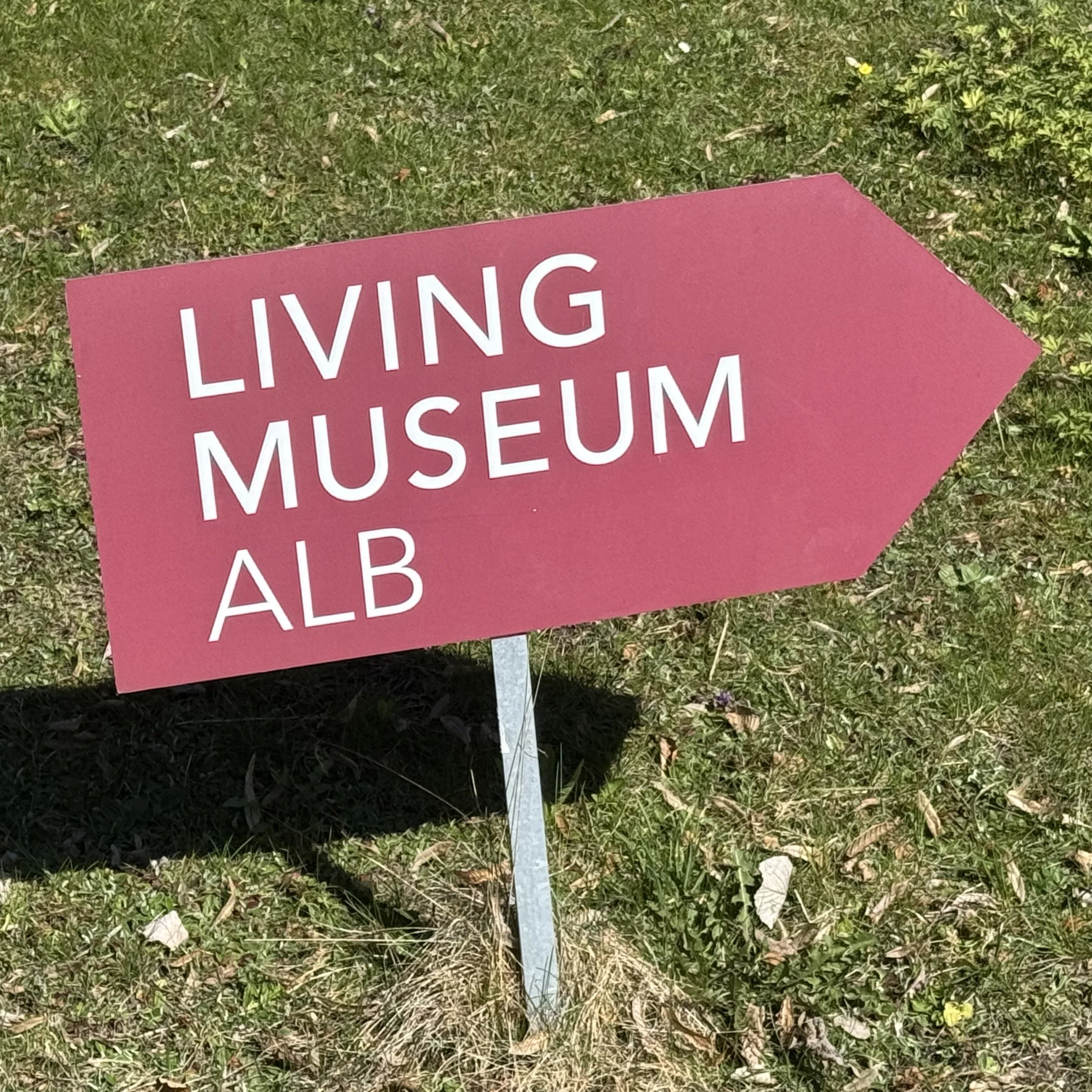 Nachmittag der offenen Tür