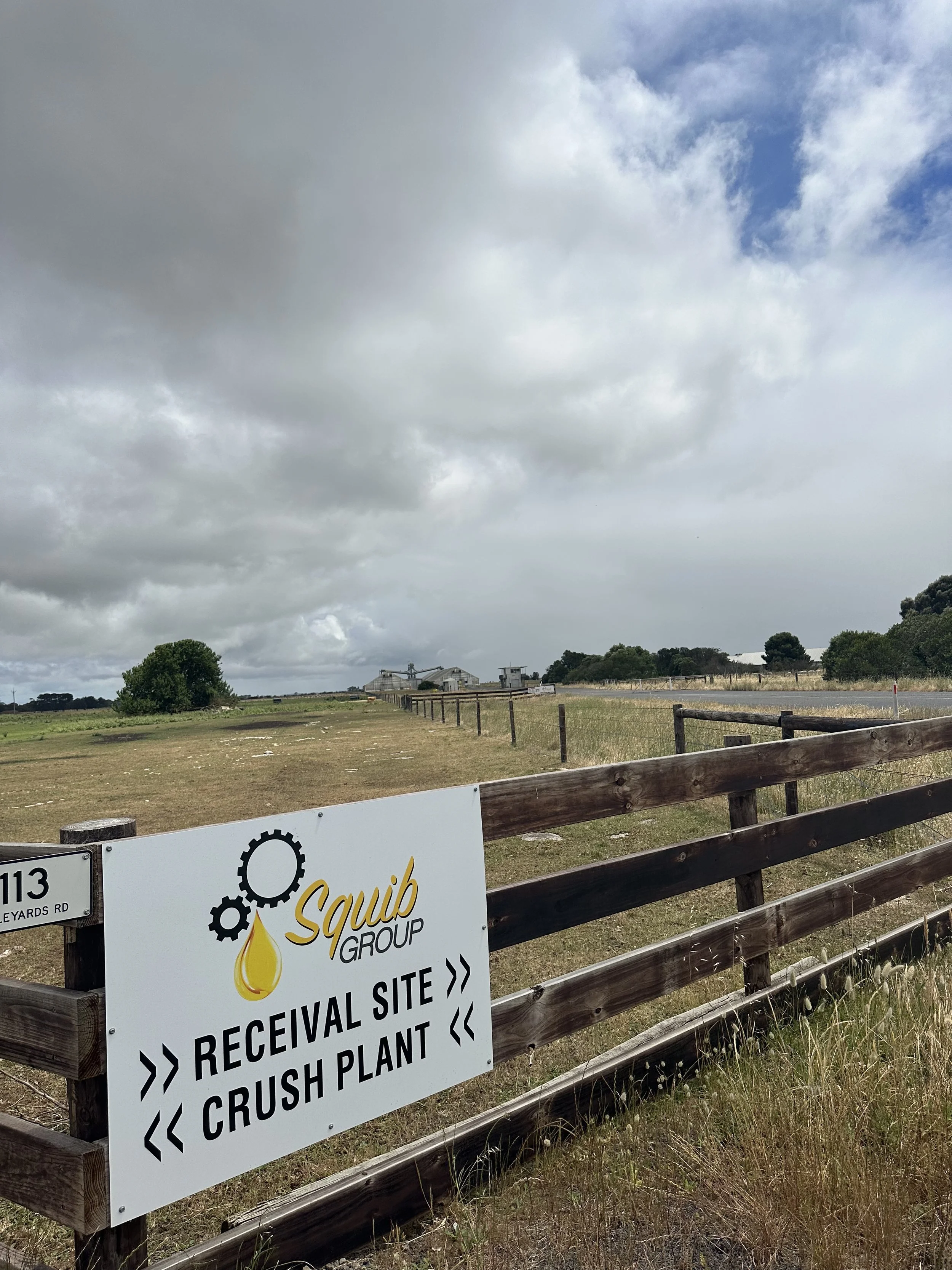 IMG_7035-preview 2.JPG