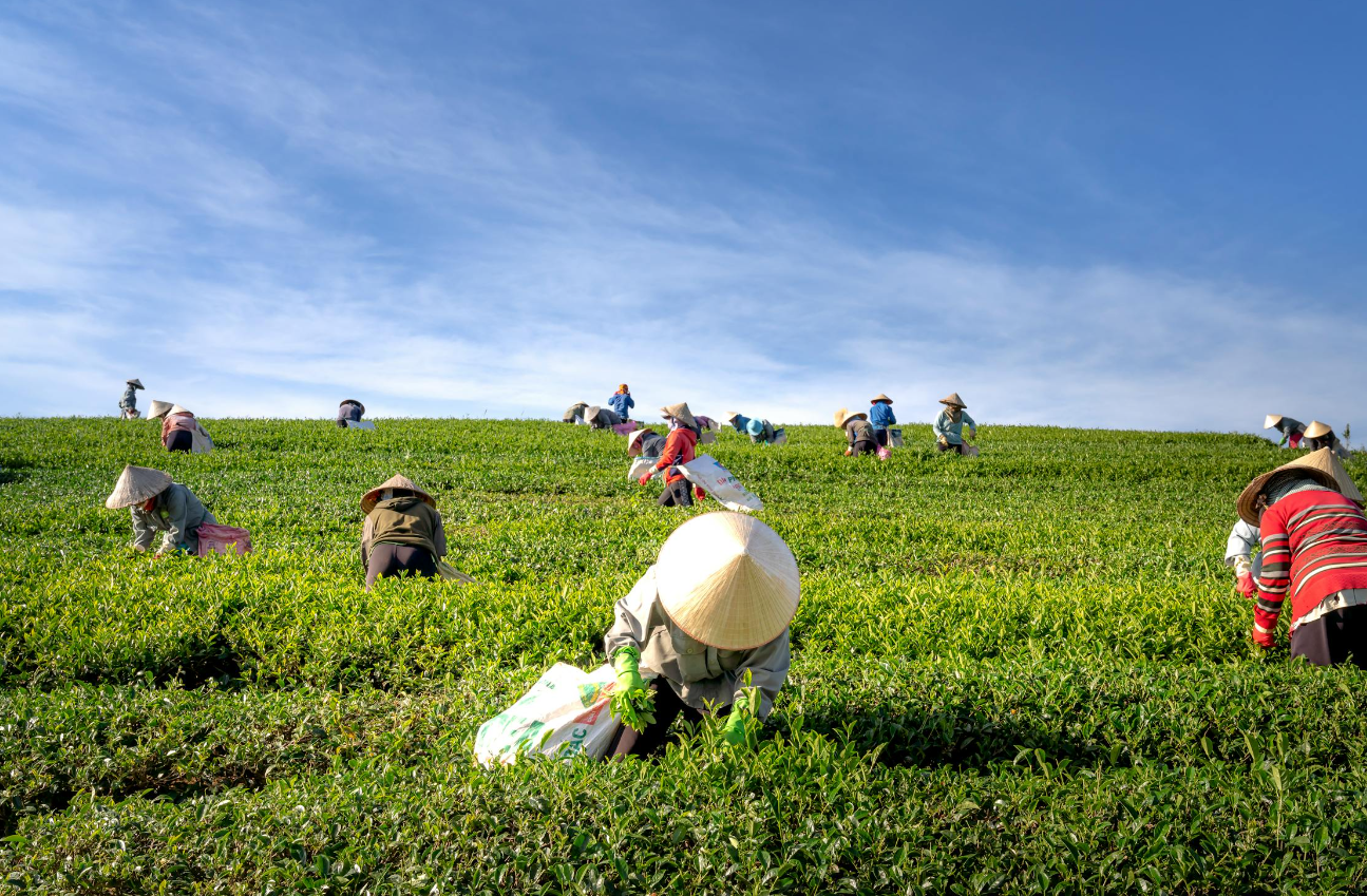 Fair Price for Farmers (Not Accredited)