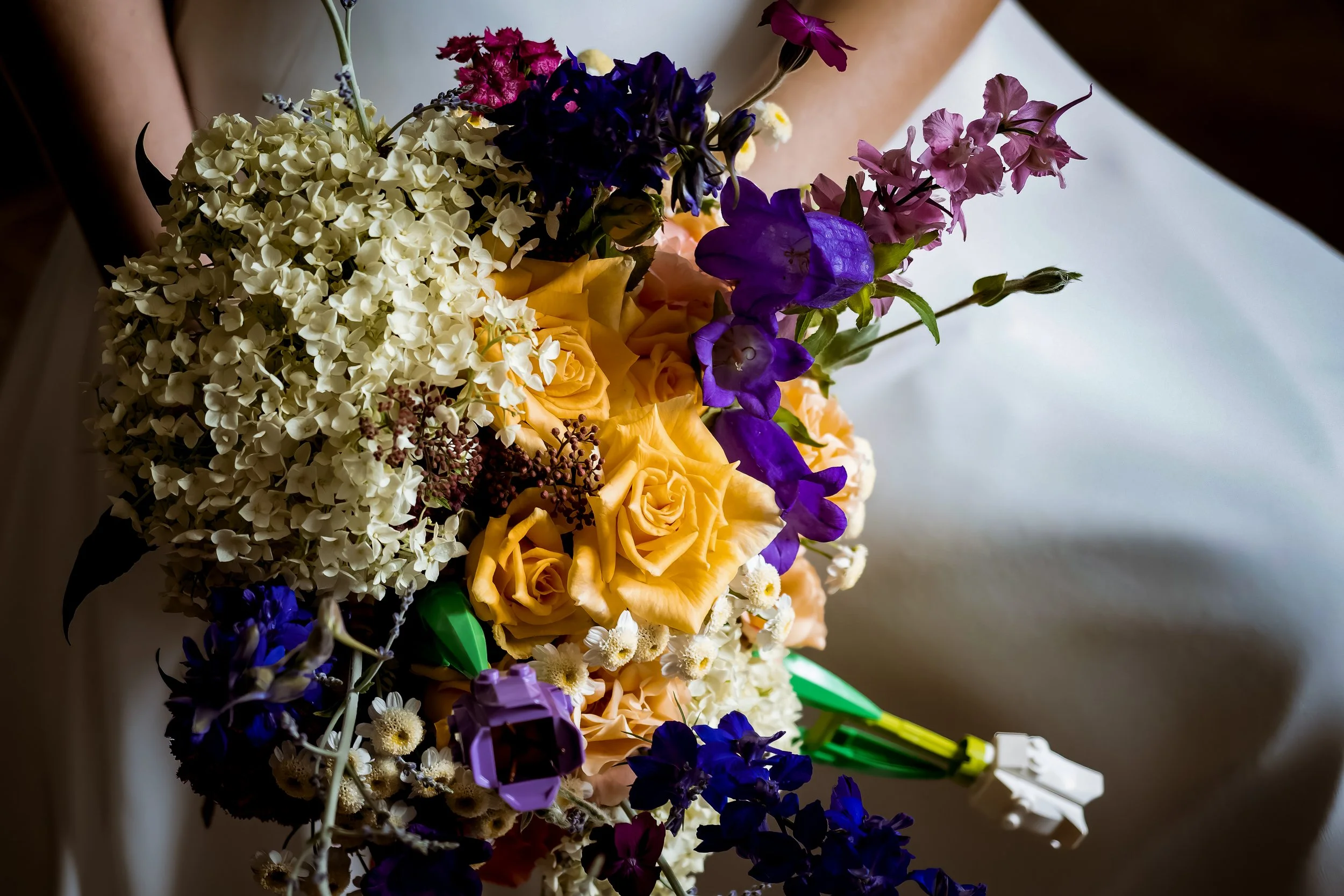 0-143-P6030694-Focus copia-2.jpg