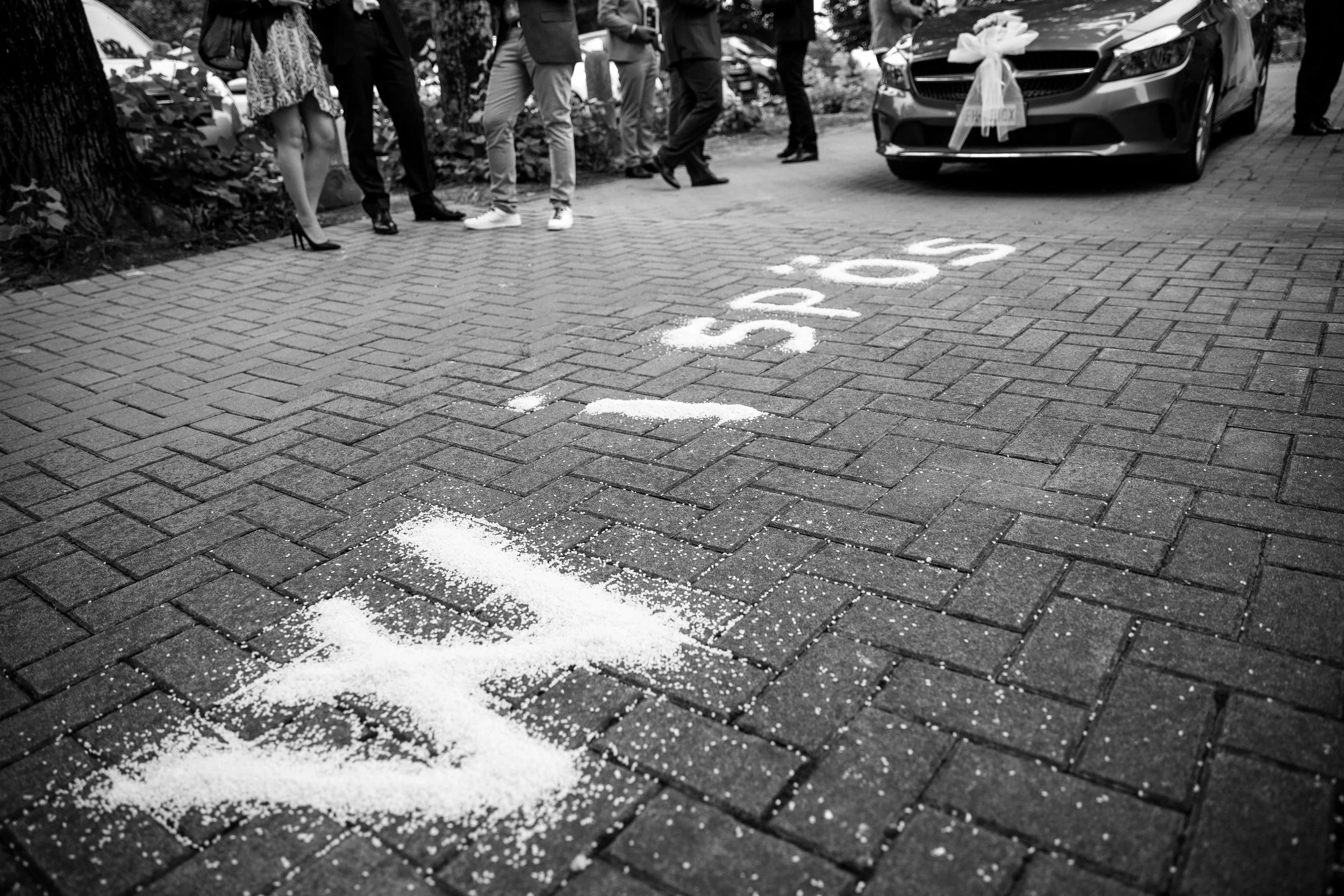 _MG_9668.jpg DIVERTENTI O QUI??.jpg