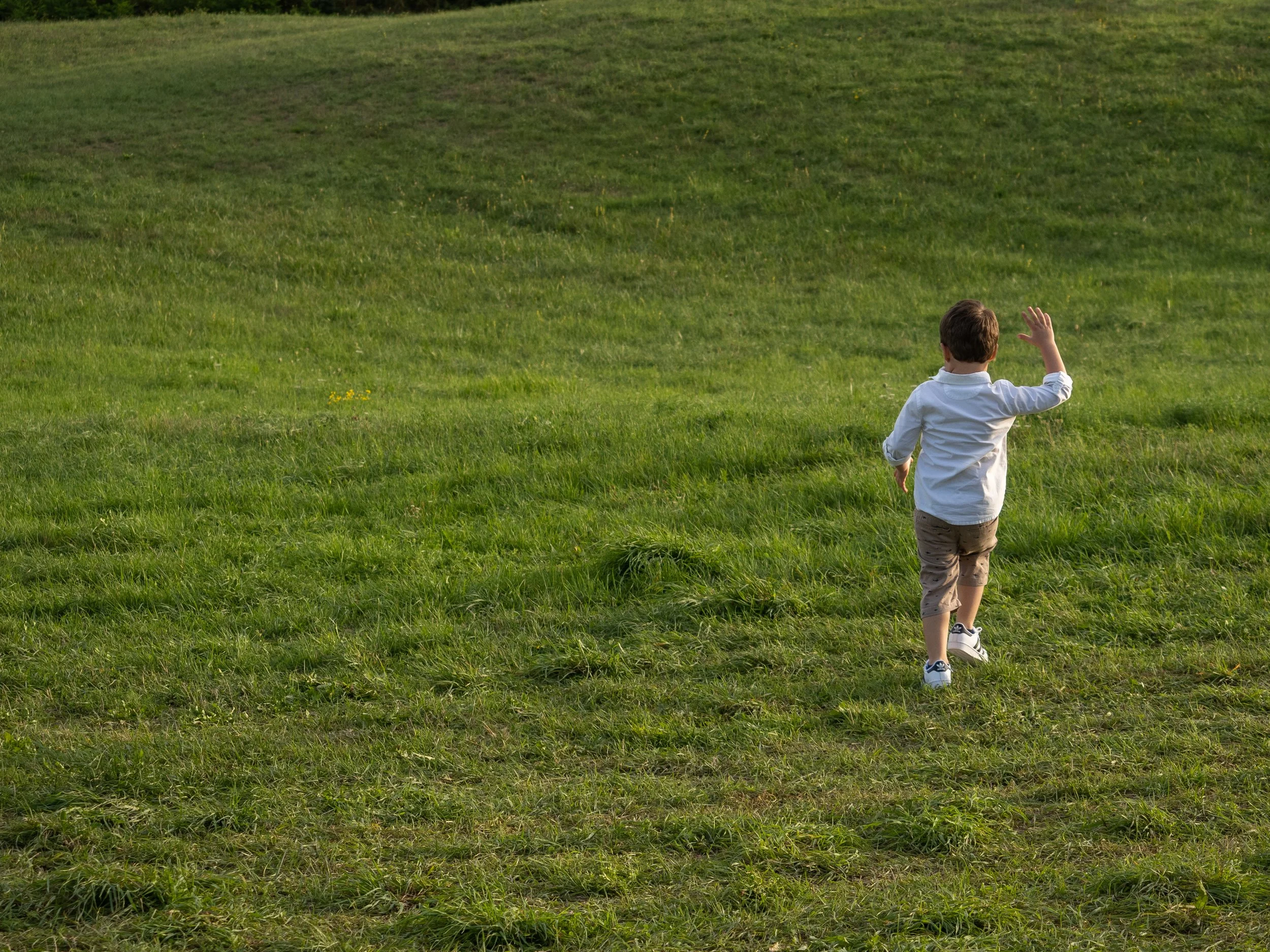 z-finale 410-P9102306-2x.jpg