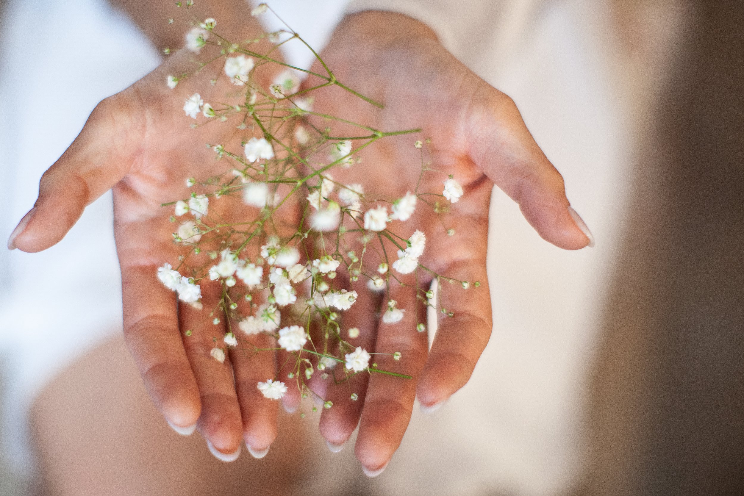 __0-338-IMG_6055-2 copia.jpg