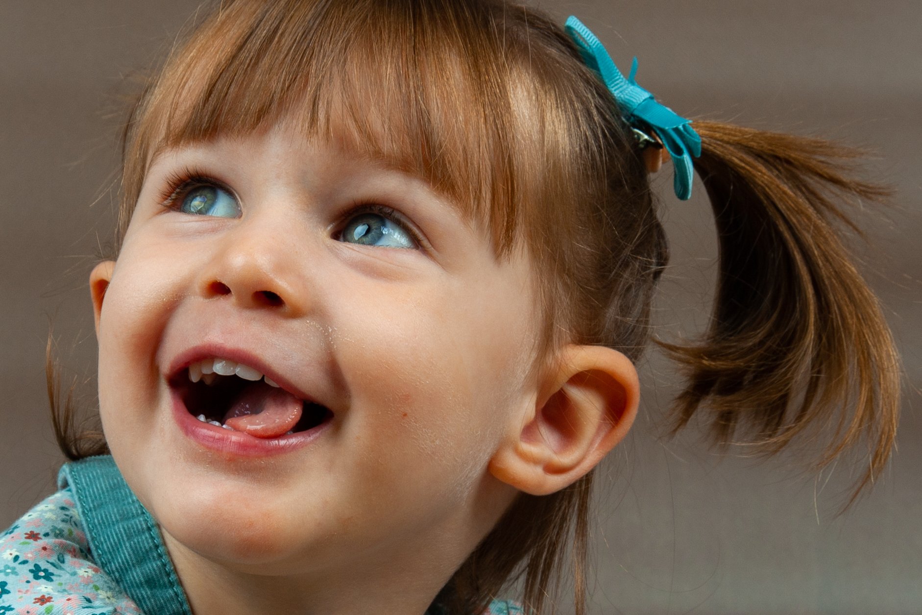 _MG_0979-3.jpg COPERTINA.jpg