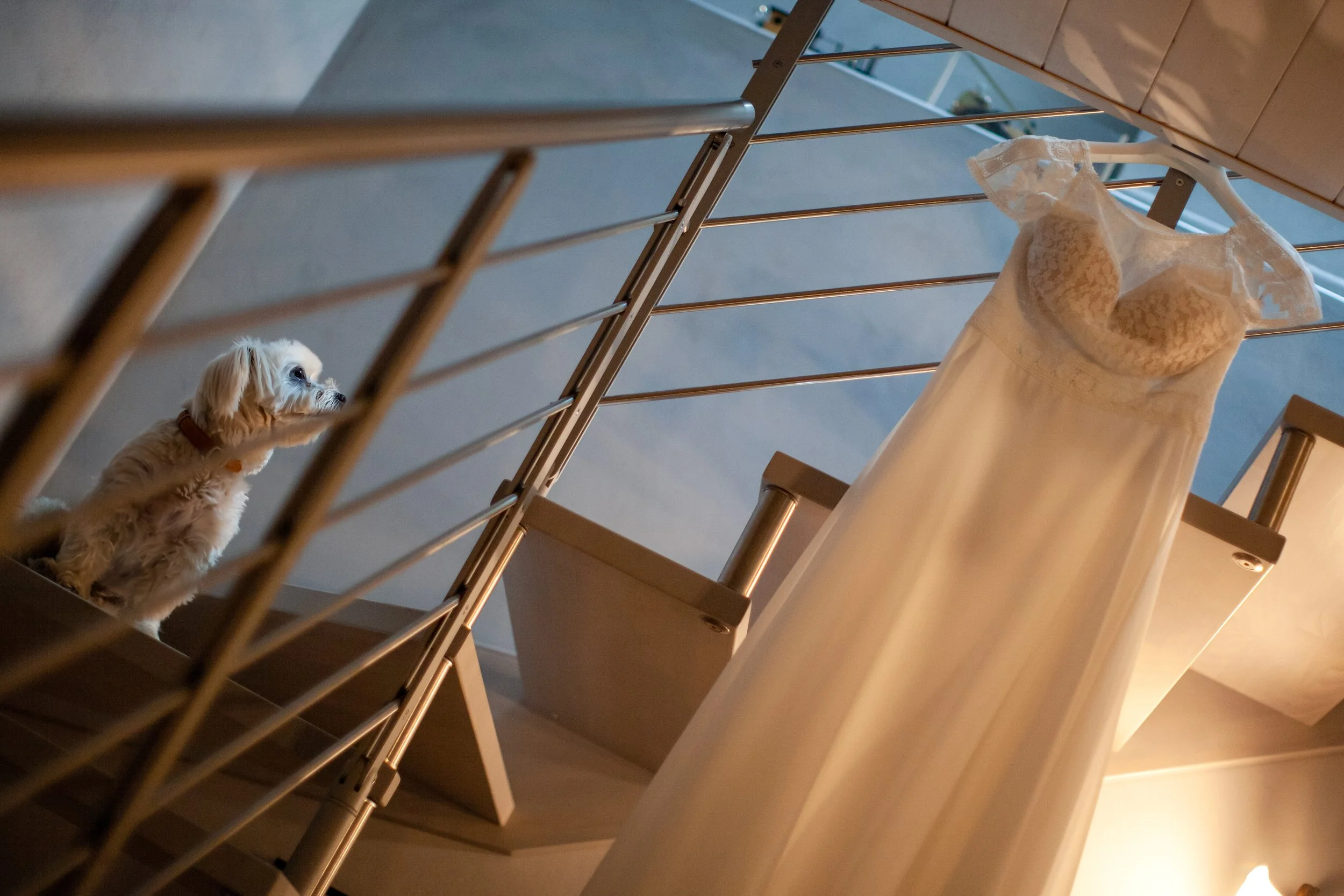 6-_MG_9525-2-Standard.jpg DIVERTENTI O QUI??-2.jpg