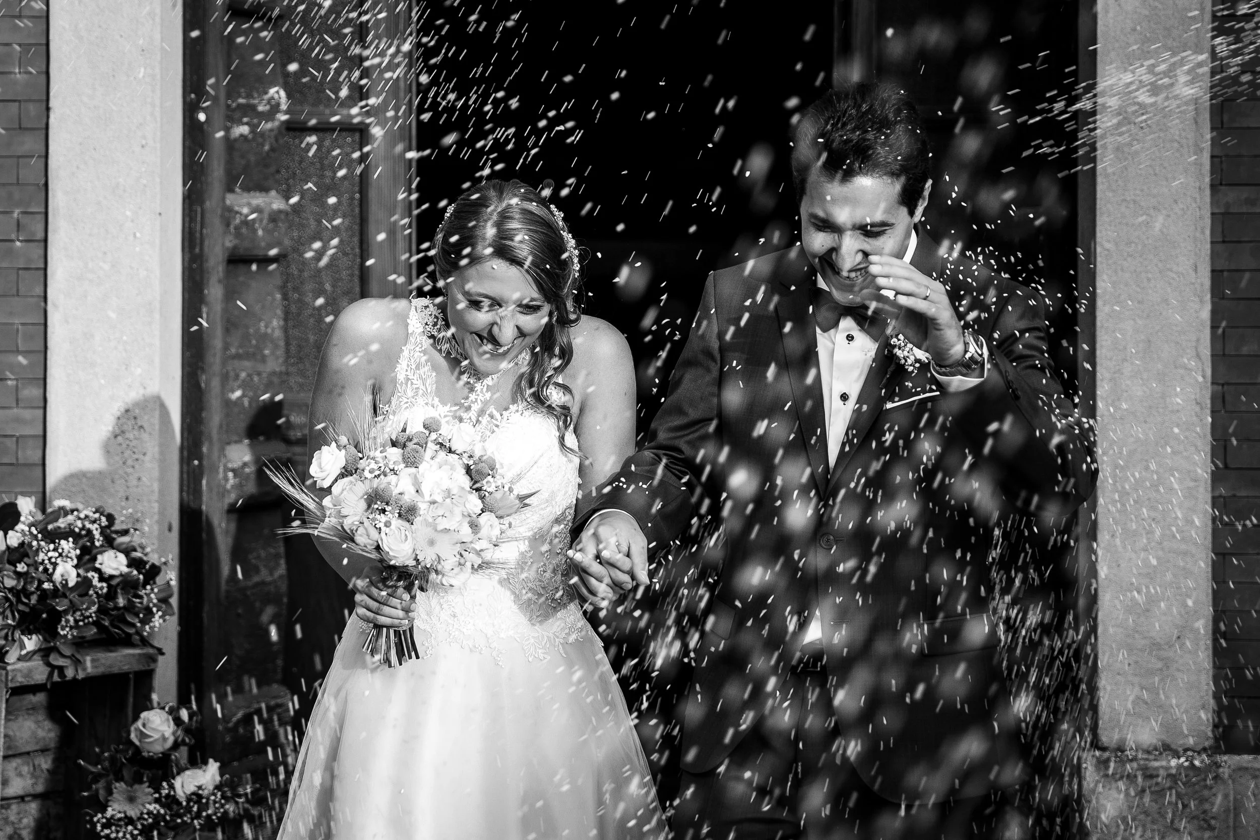 __0-_MG_8917-2 copia.jpg