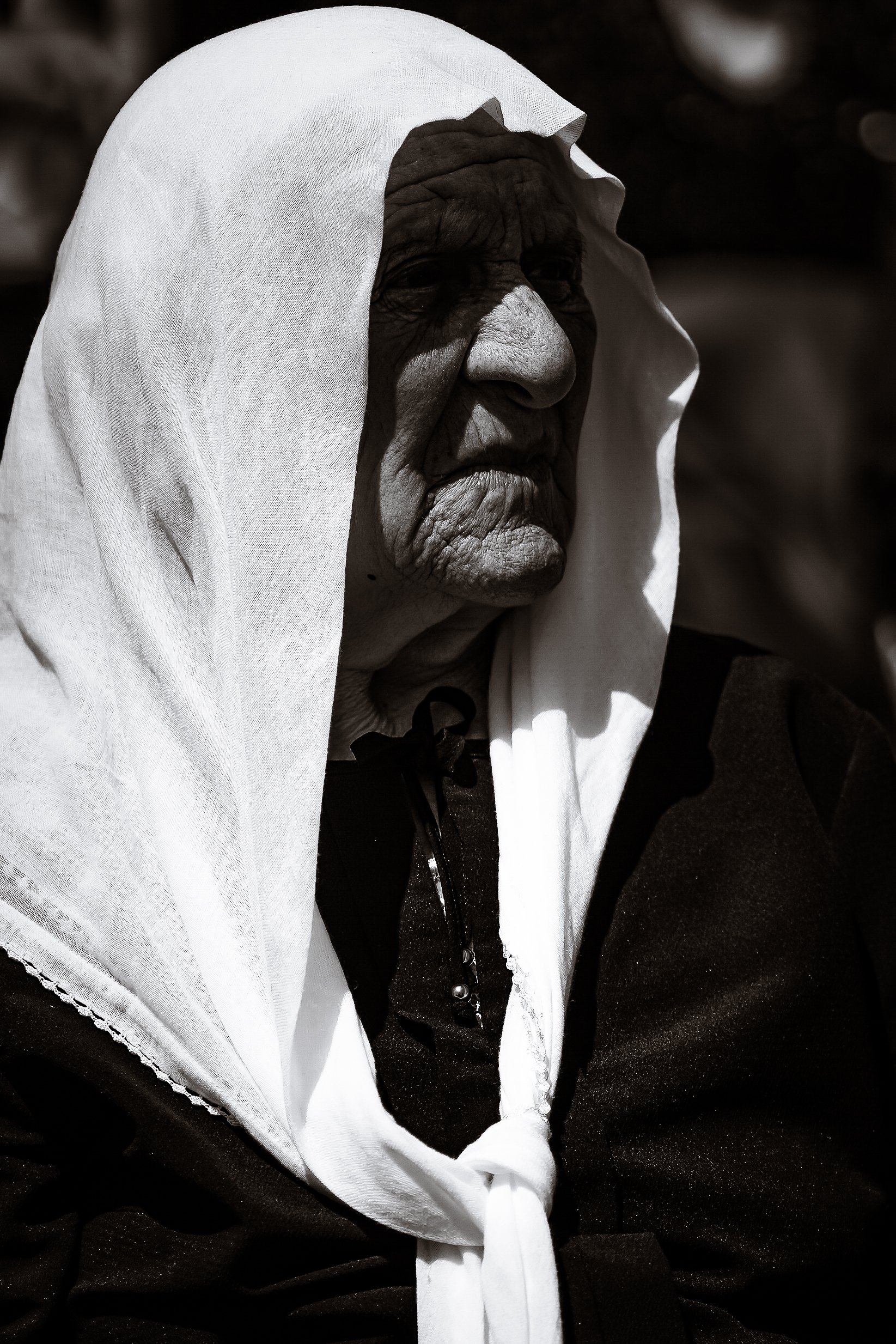 __0-333-_DSC5378-5 copia.jpg