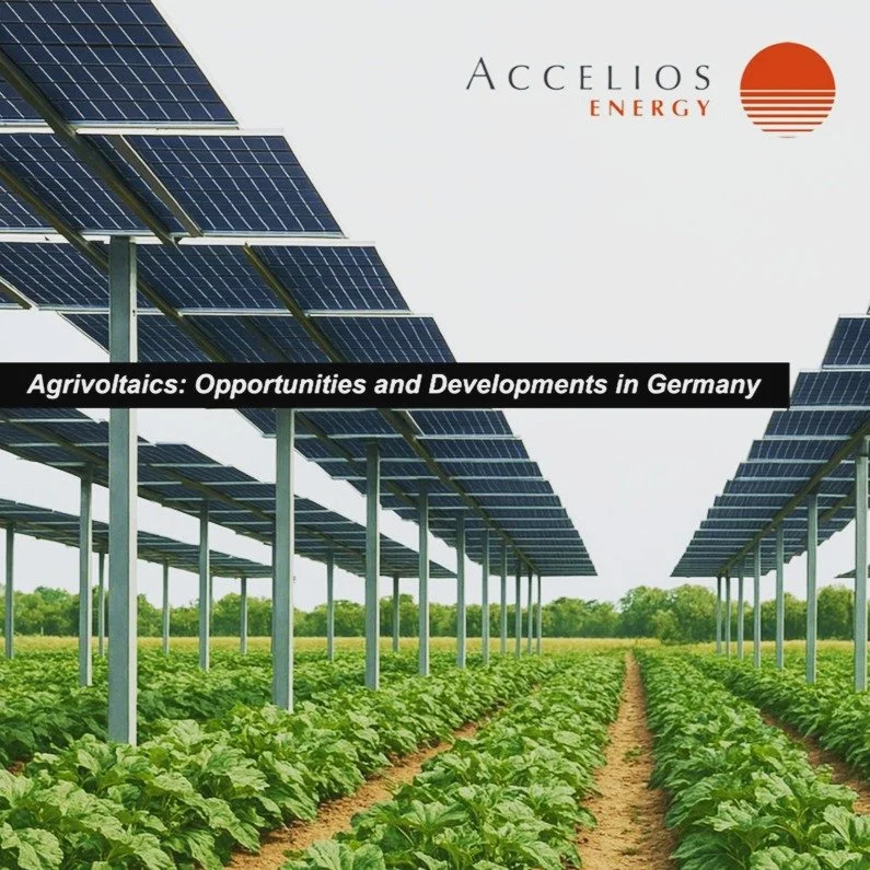 The German market for Agri-PV (photovoltaics)

🌱 Agrivoltaics isn&rsquo;t just innovation&mdash;it&rsquo;s impact. See why it&rsquo;s the most efficient, future-ready solution for energy AND food production!

💰 &euro;500M investment, 1,700 GWp pote