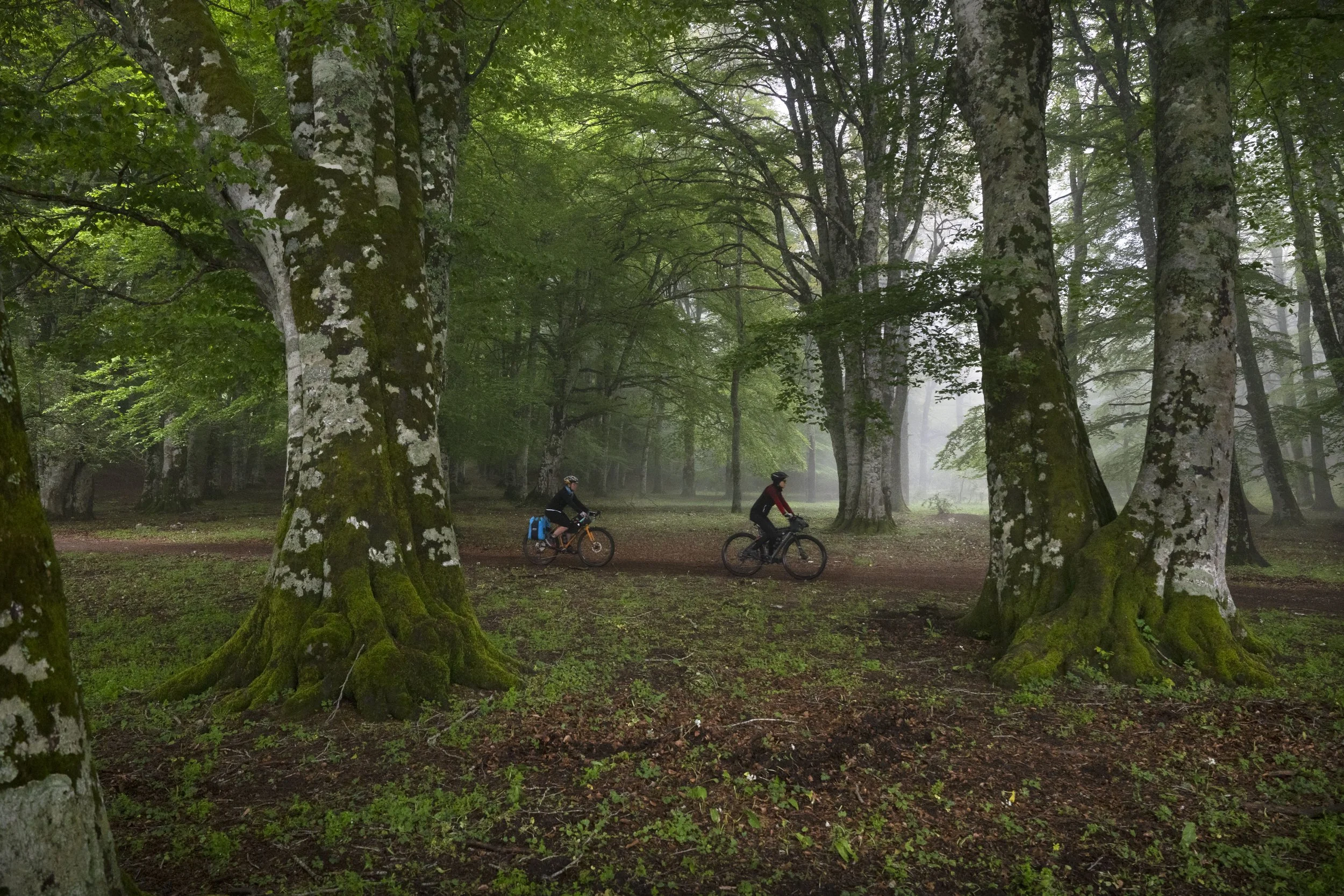 Appennino Lucano Val d'Agri Lagonegrese National Park