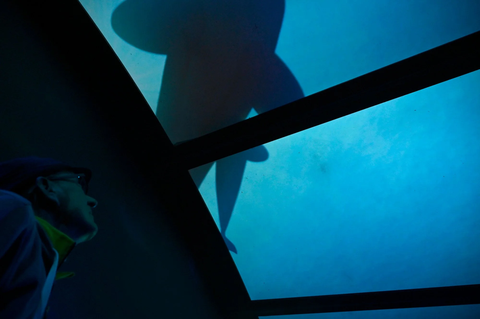 Bike Path Park Calabria: A 545 km Journey Through Calabria’s Natural Parks