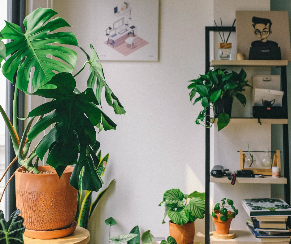 Pinterest for indie businesses: Sustainable growth without the hustle