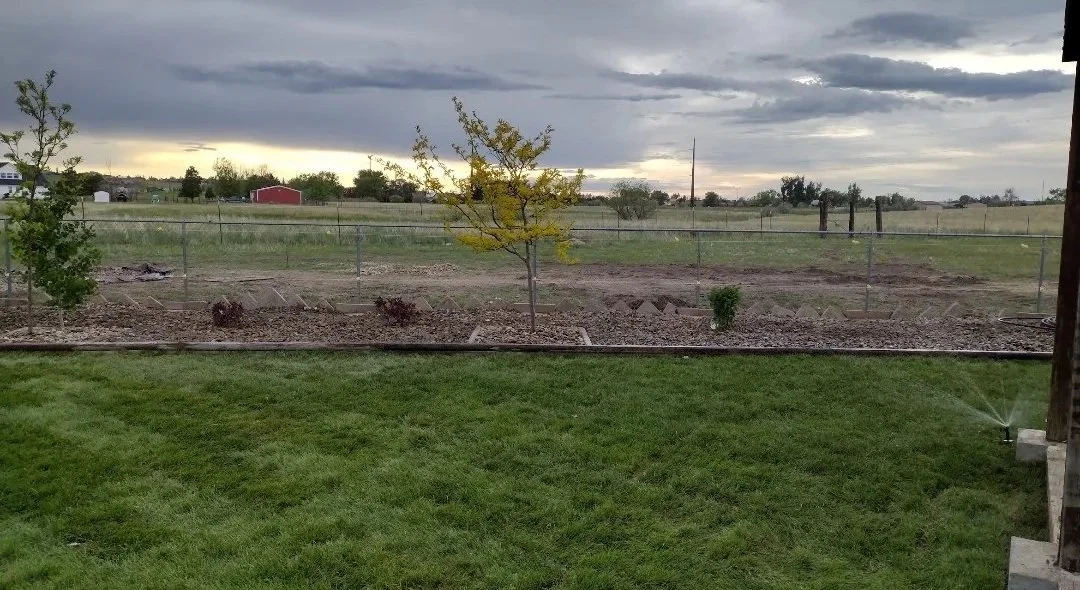TOM+FINISHED+SHOT+with+sprinklers+on.jpg