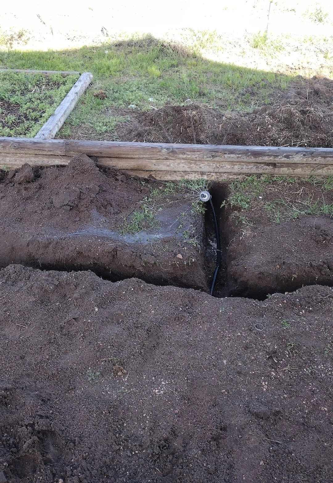 sprinkler op Tom line lawn.jpg