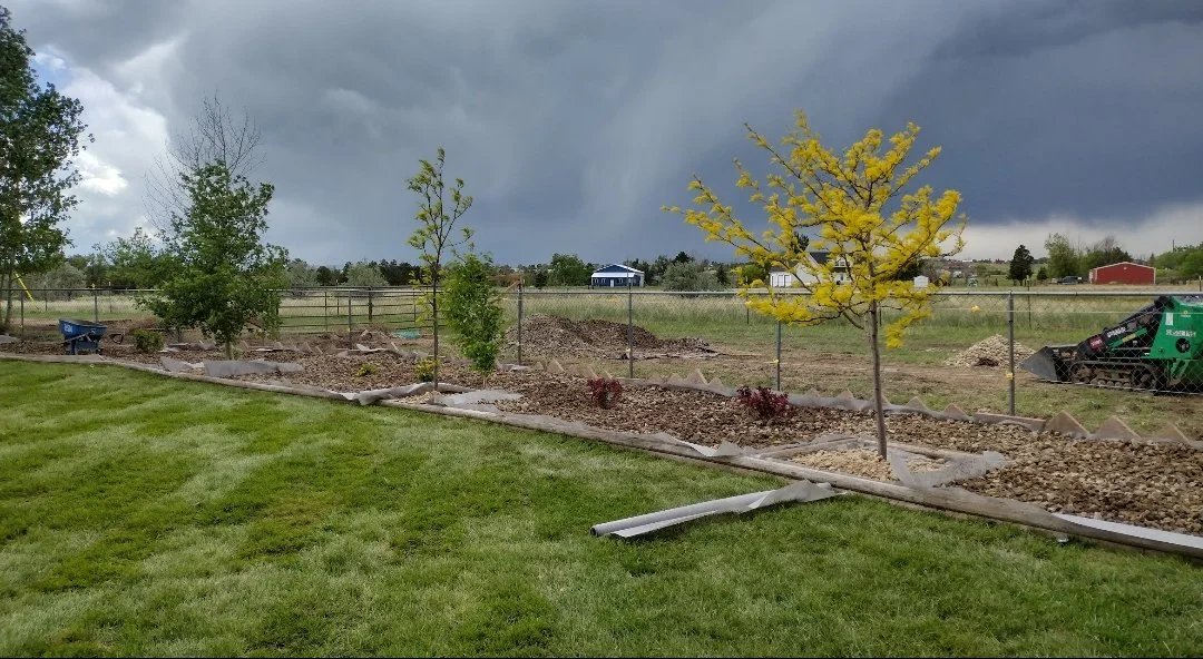 Flower bed and sod complete toms.jpg