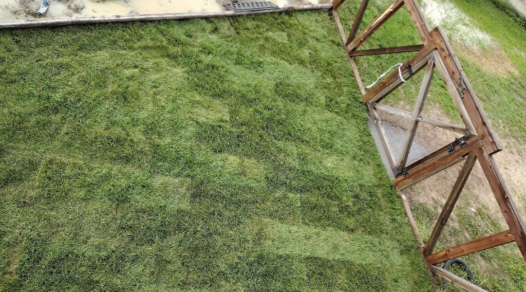 backyard view sod install completed tom.jpg