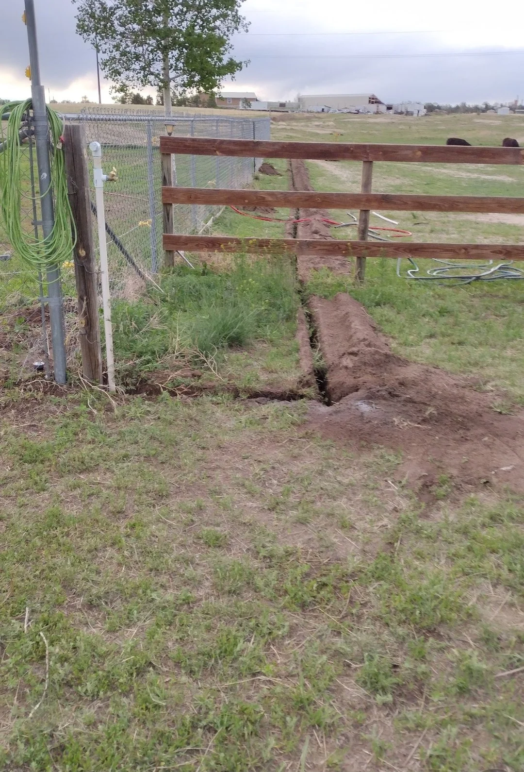 Tom dirt sprinkler 3.jpg