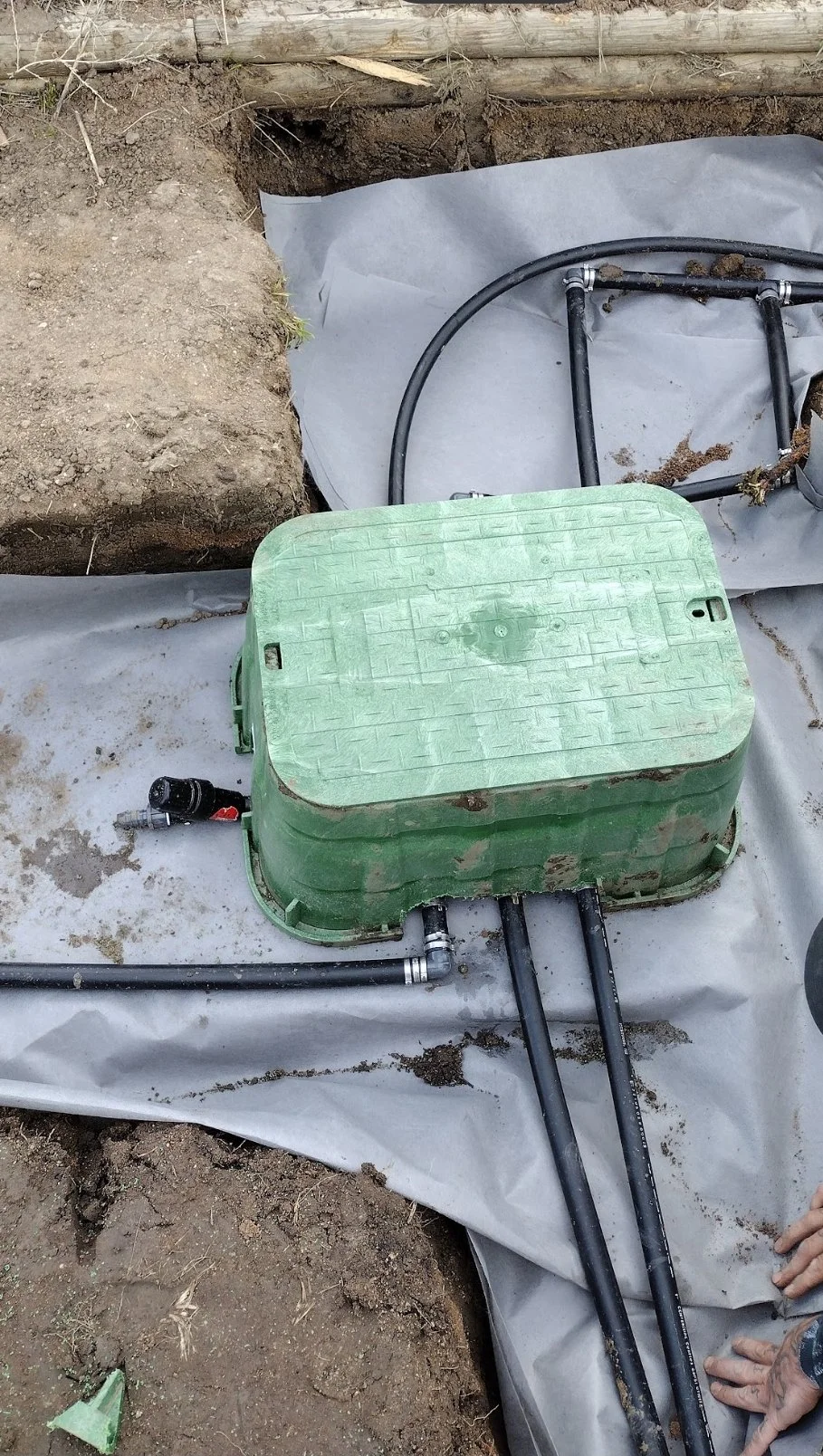 SPrinkler install green toms.jpg