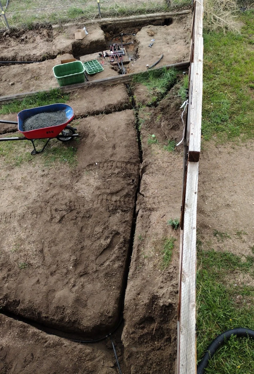 Tom Dirt and sprinkler top view.jpg