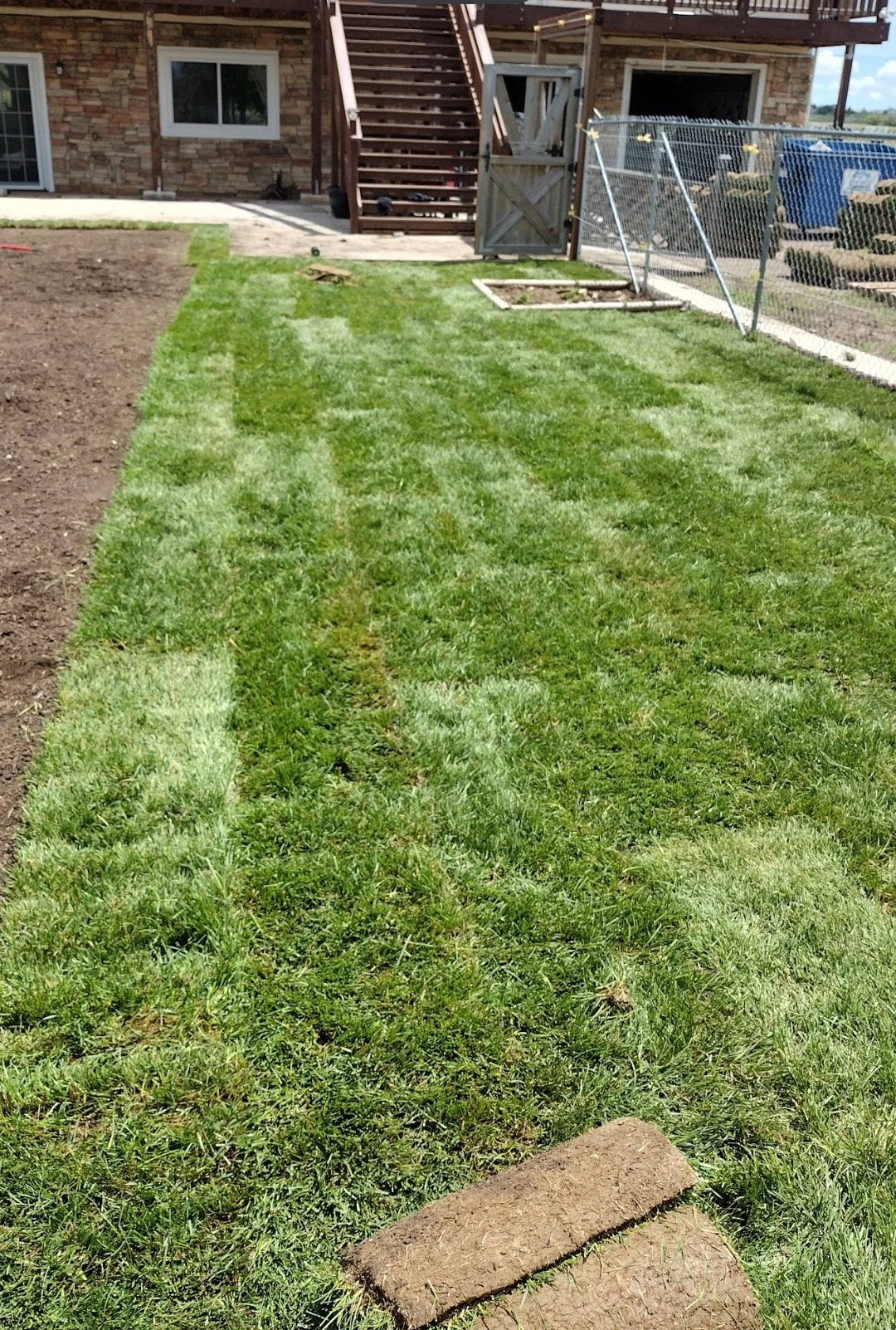 TOM Sod placement 2.jpg
