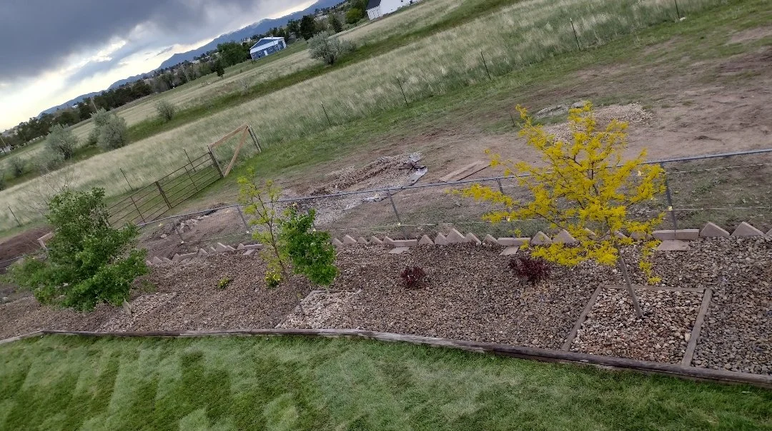 Flower bed and tree install complete tom final image.jpg