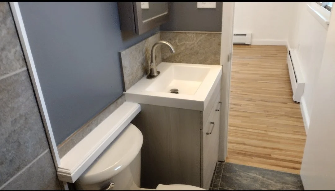 COmplete OH ul bathroom sink and toilet.jpg