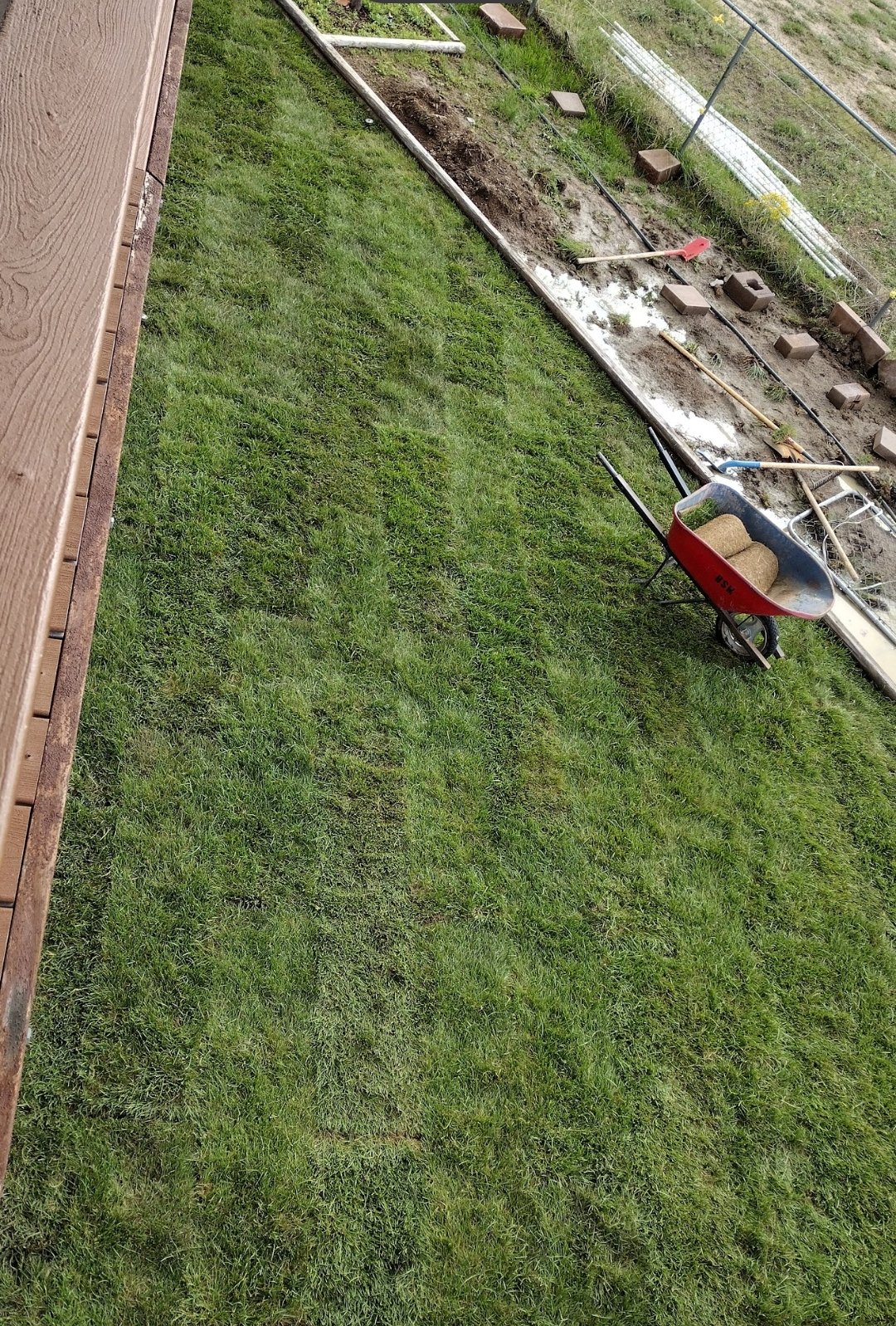 SOD upper top view complete flower bed and tree install prep.jpg