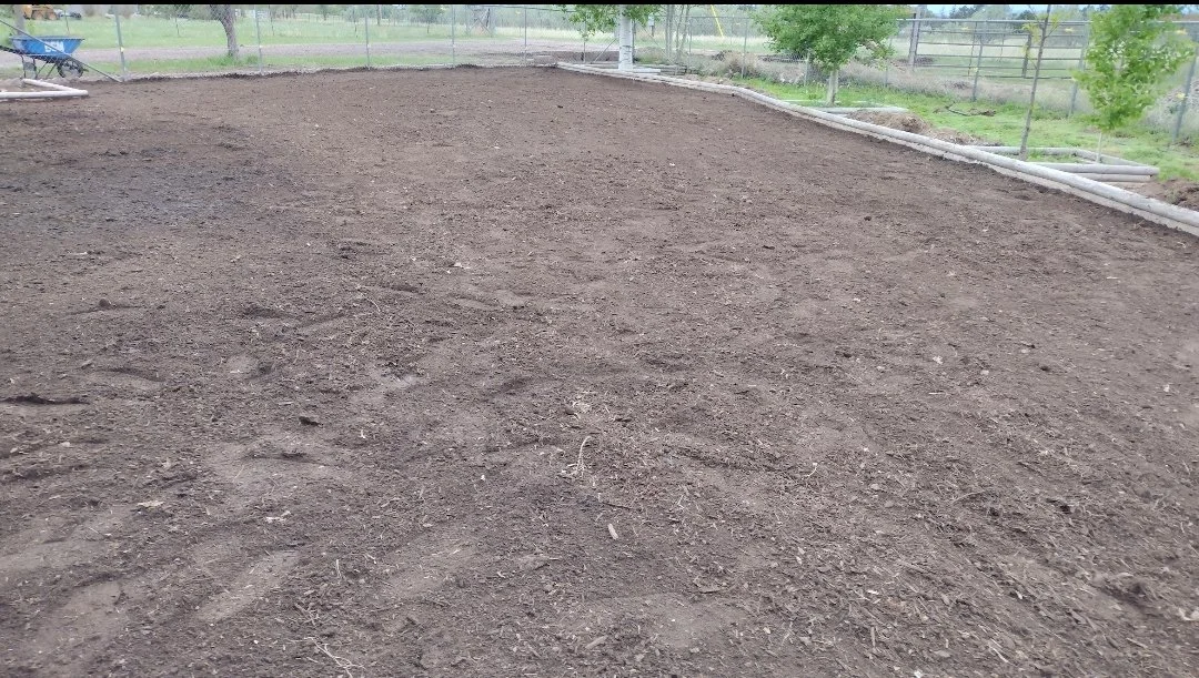 TOM READY for sod prep done .jpg