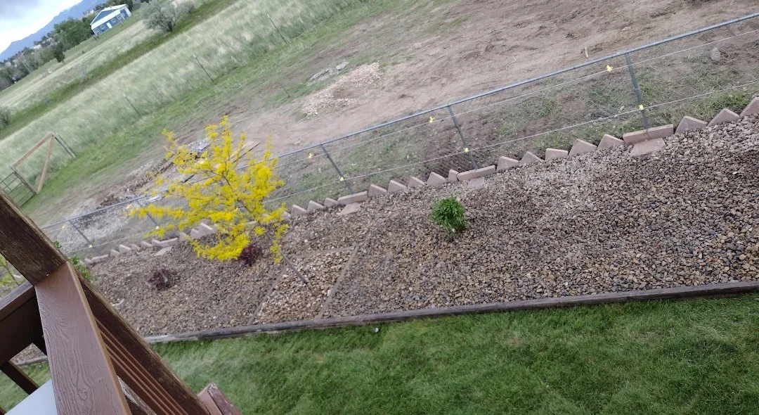 flower bed shot Tom complete.jpg
