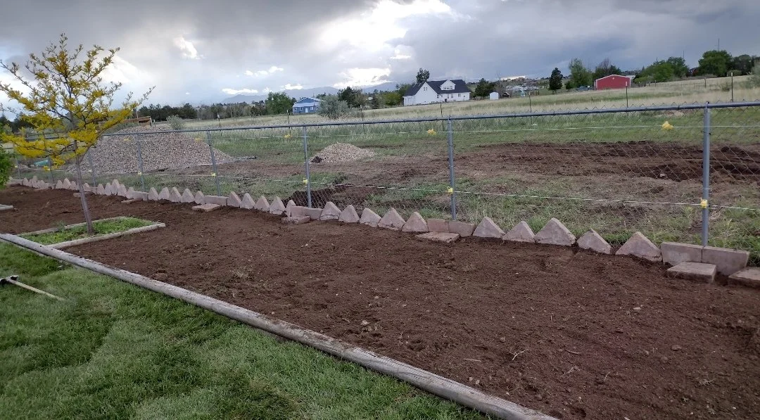 Unfinished flower beds toms prep before install trees.jpg