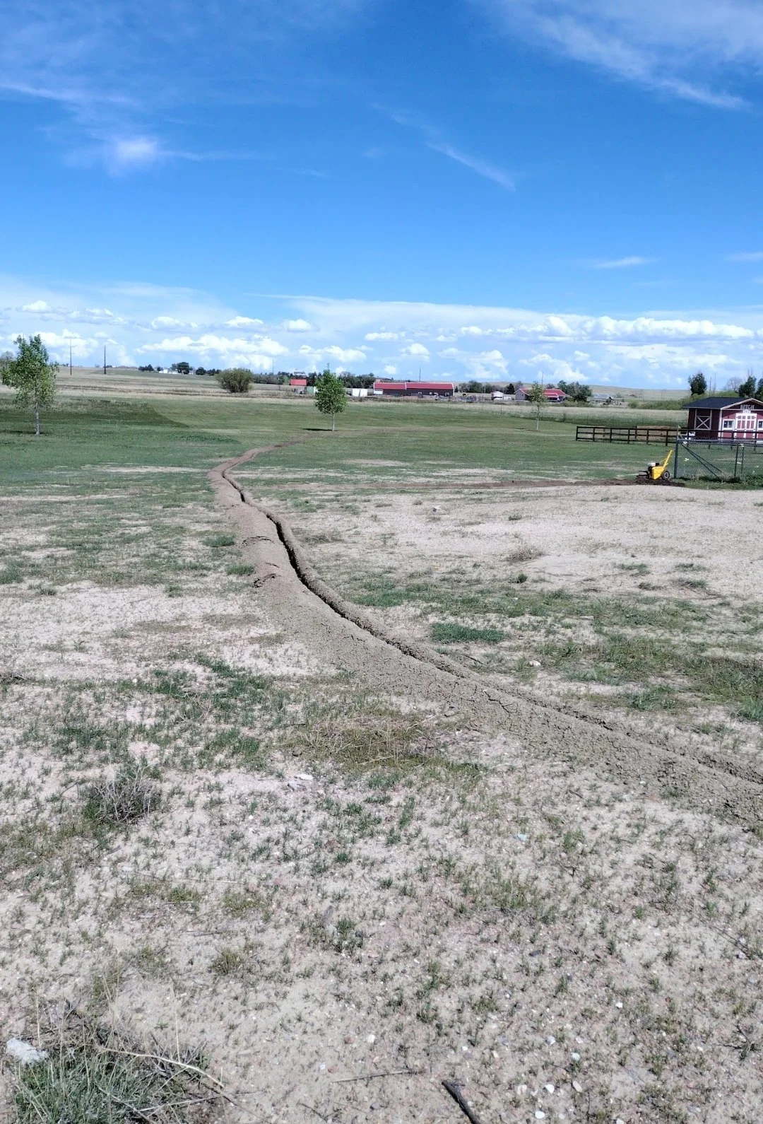 sprinkler lead out to trees and surrounding toms.jpg