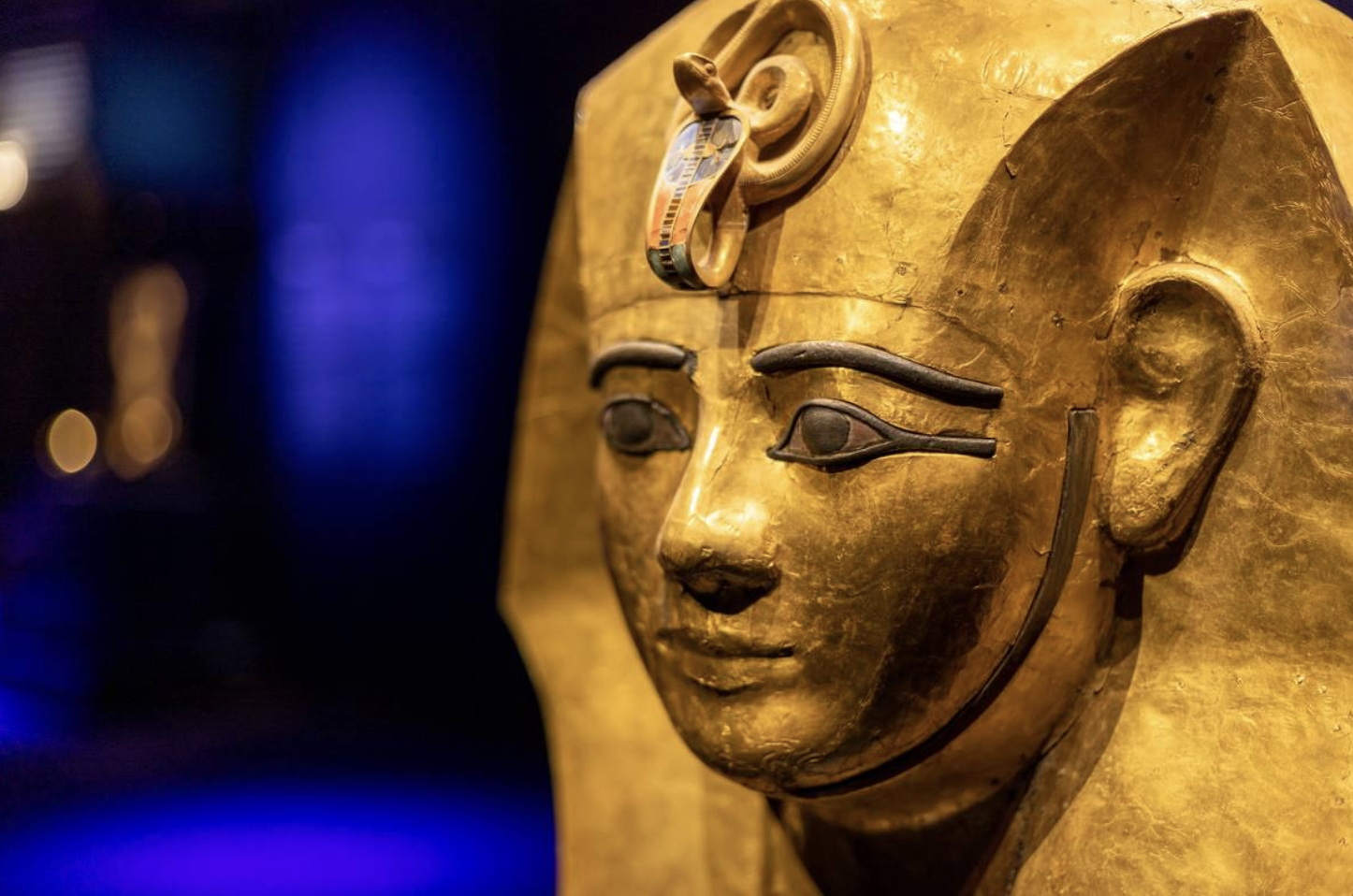 Screenshot 2026-02-24 at 11.26.58 AM.png