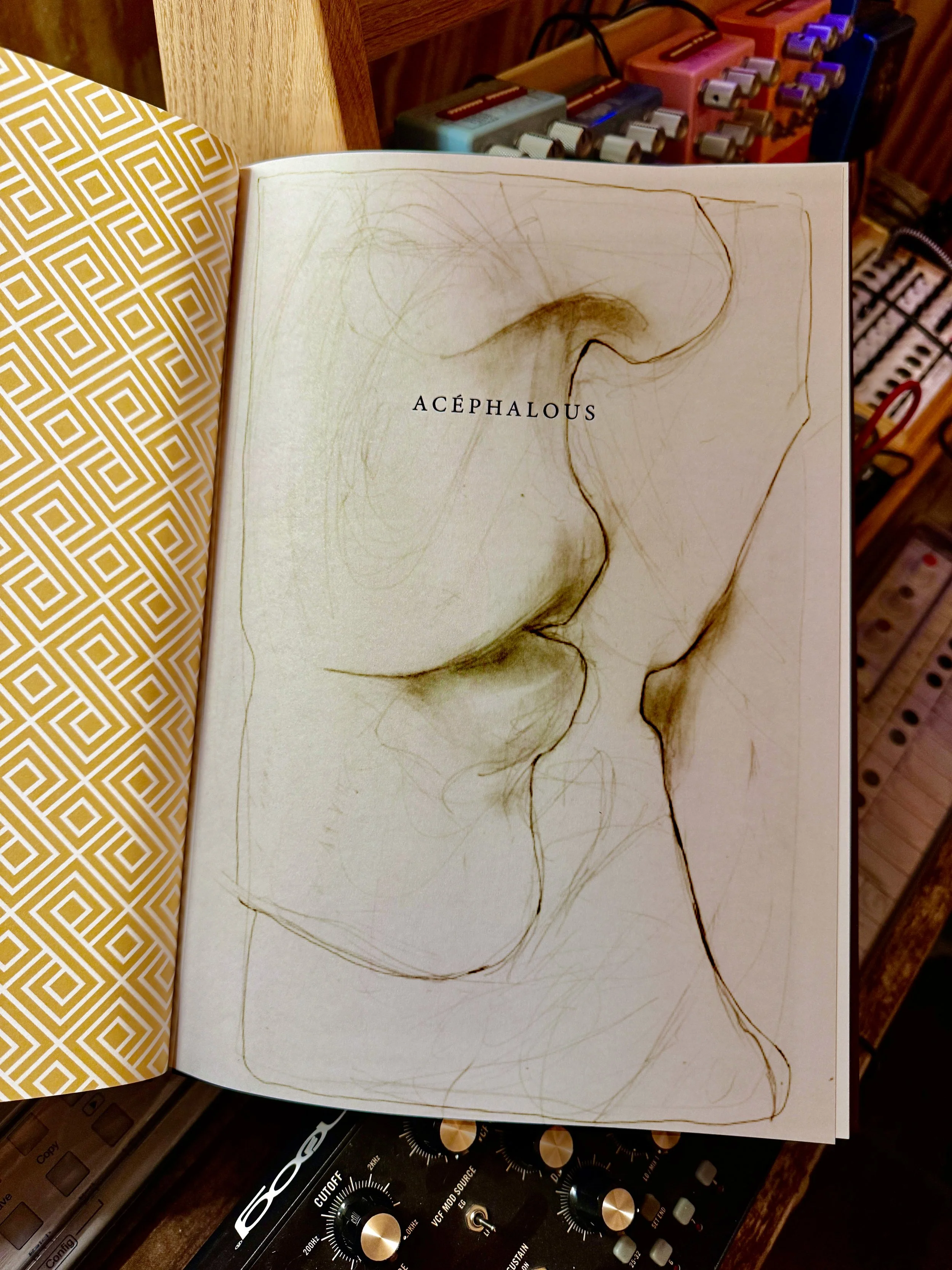 artist edition example.jpg