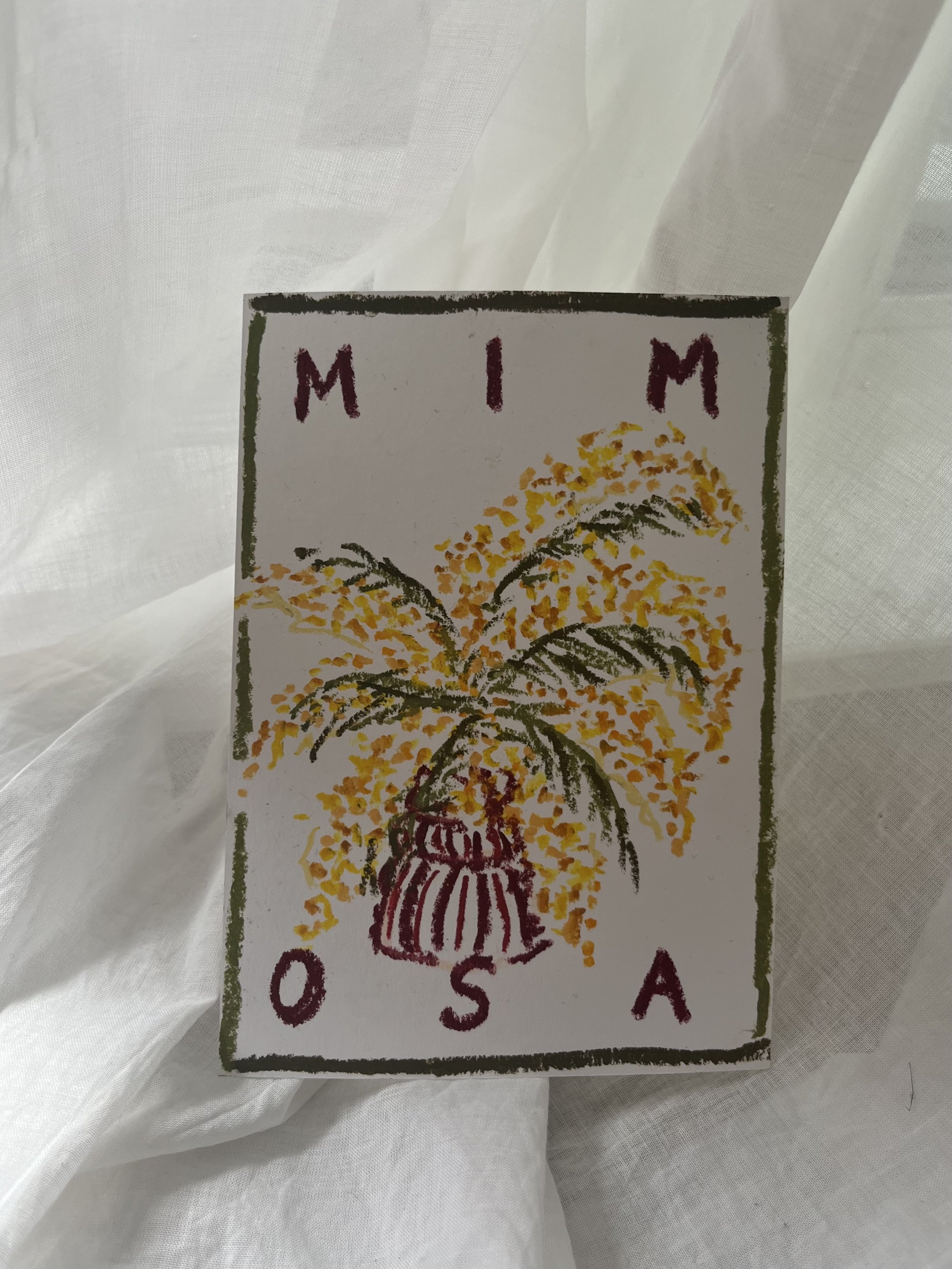 Mimosa1.jpeg