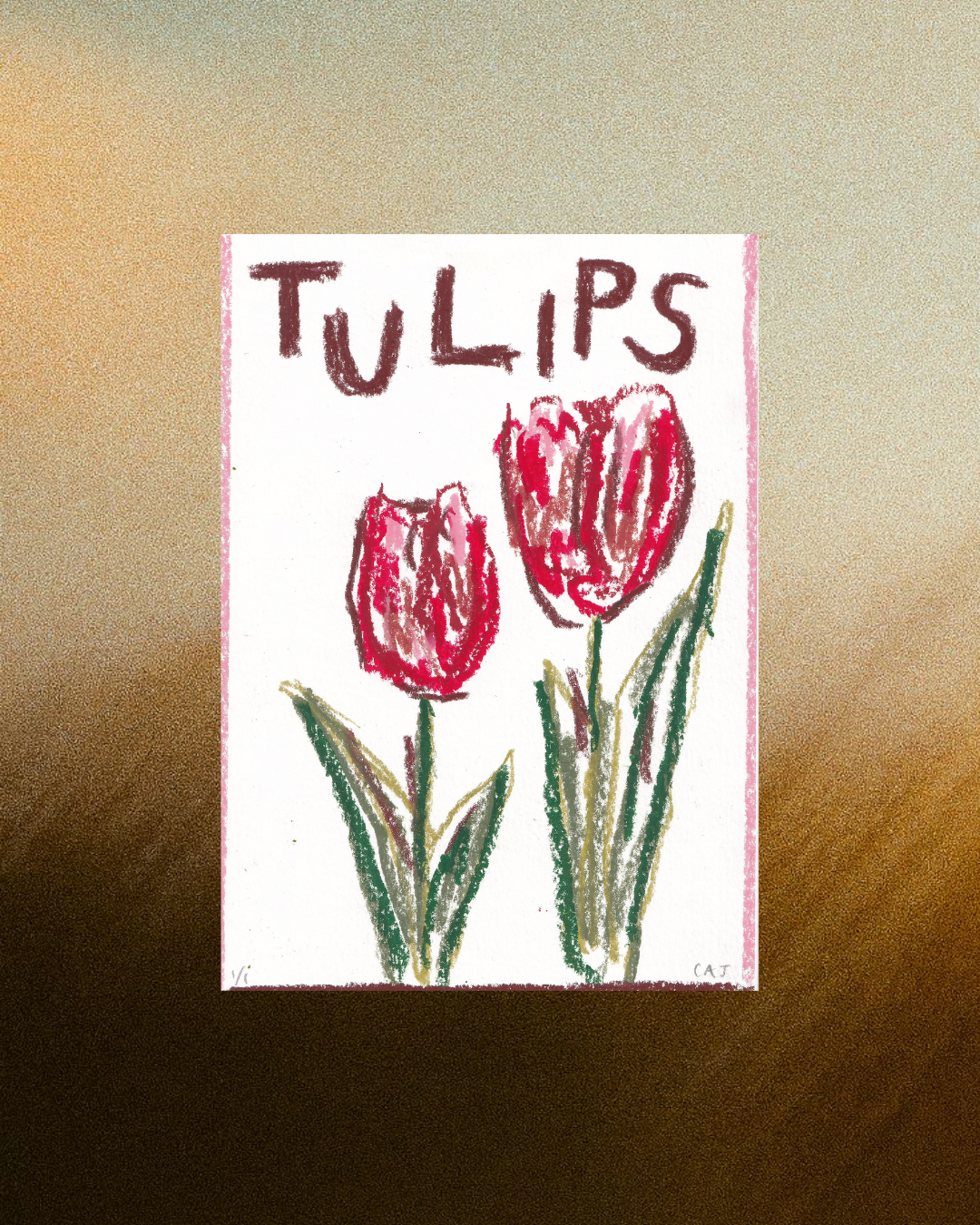 Two tulips.png