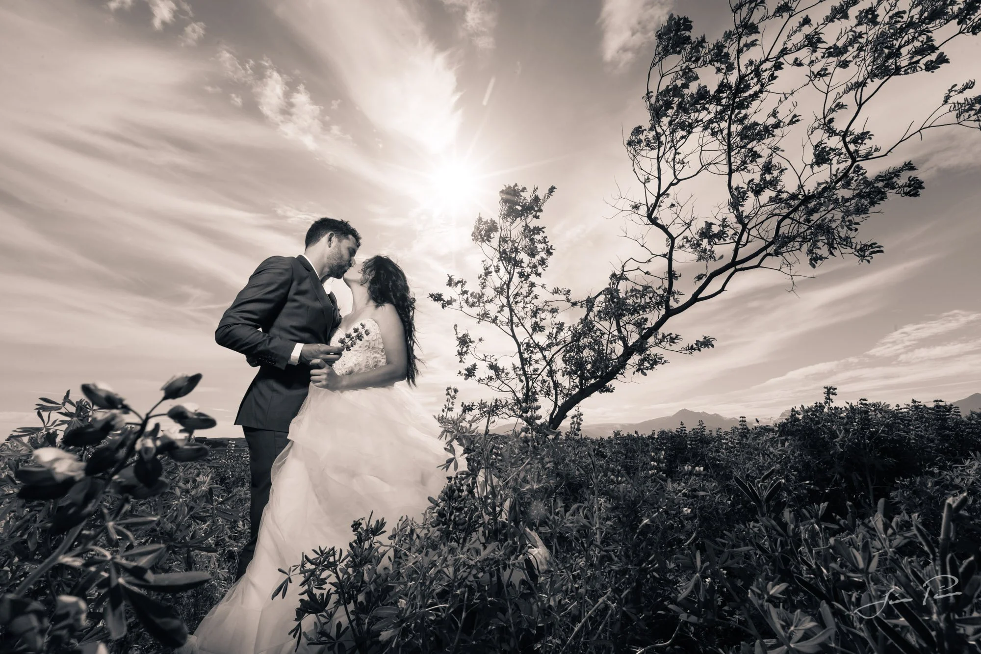 Pre wedding photoshoot with Evelyn & Carl from New Zealand