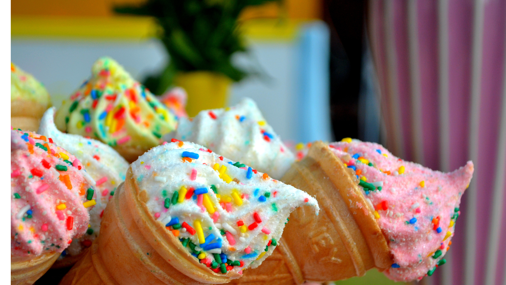Ice Cream Social