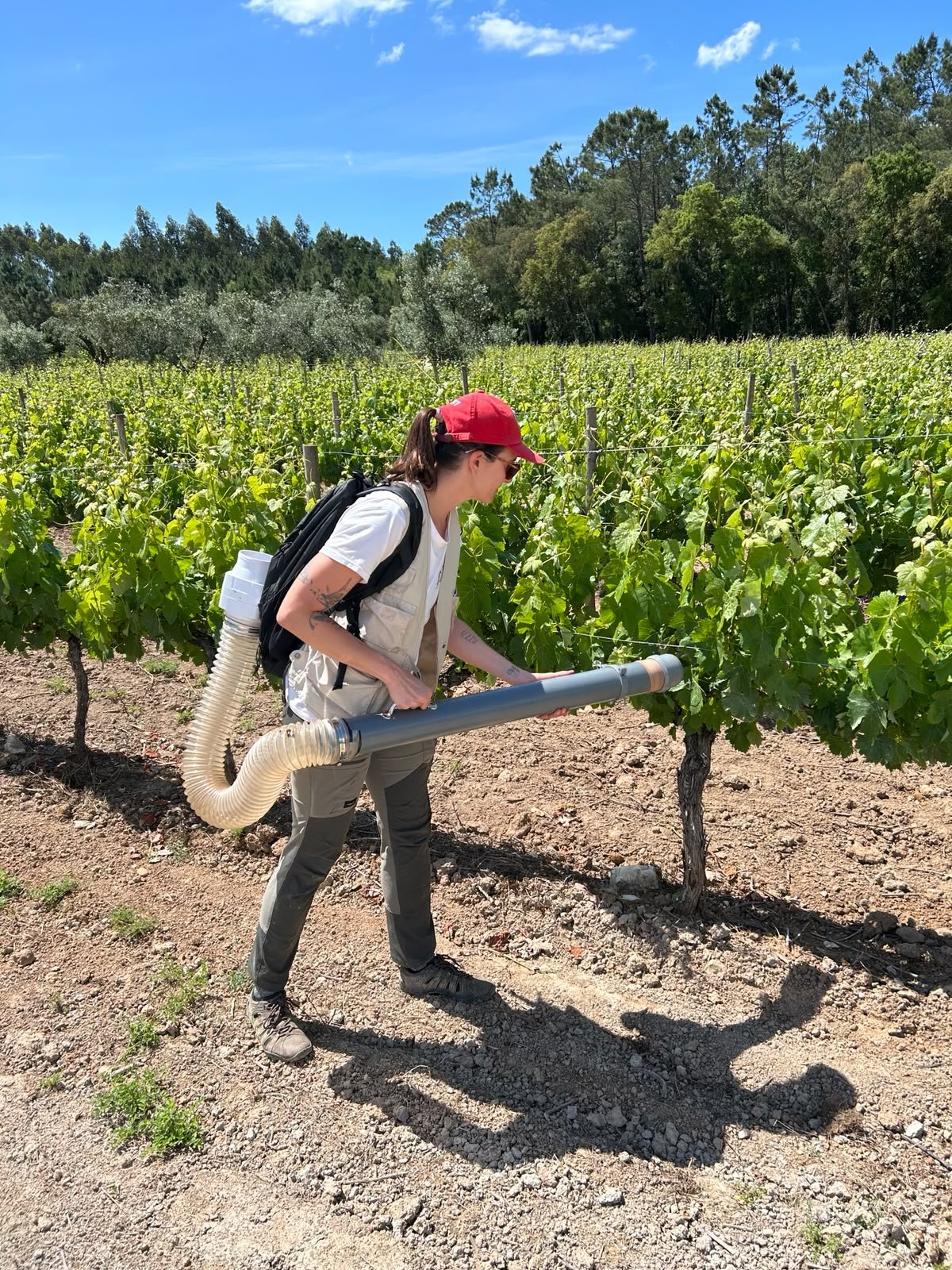 Researching pesticide-effects in Portugal